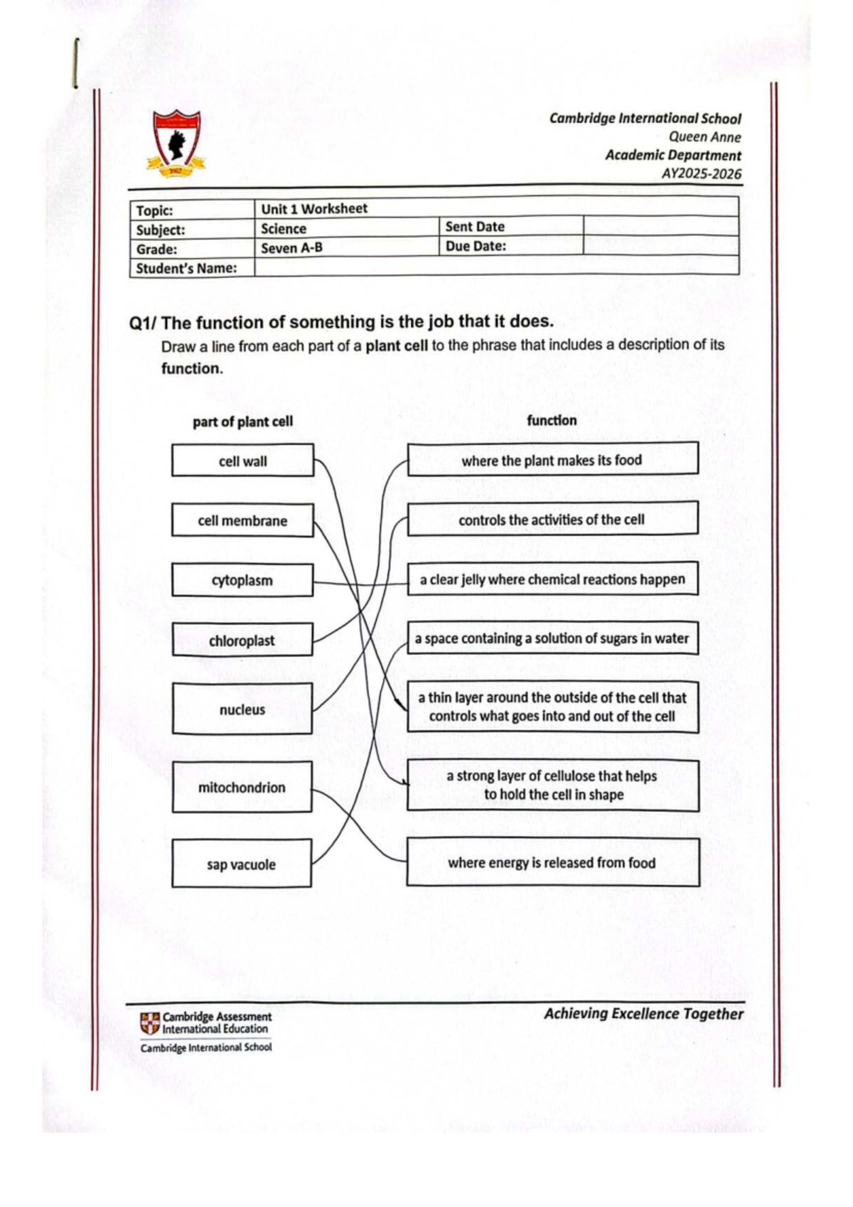 Unit 1 Science Worksheet Answers for Grade 7 (AY25 262) - Studocu