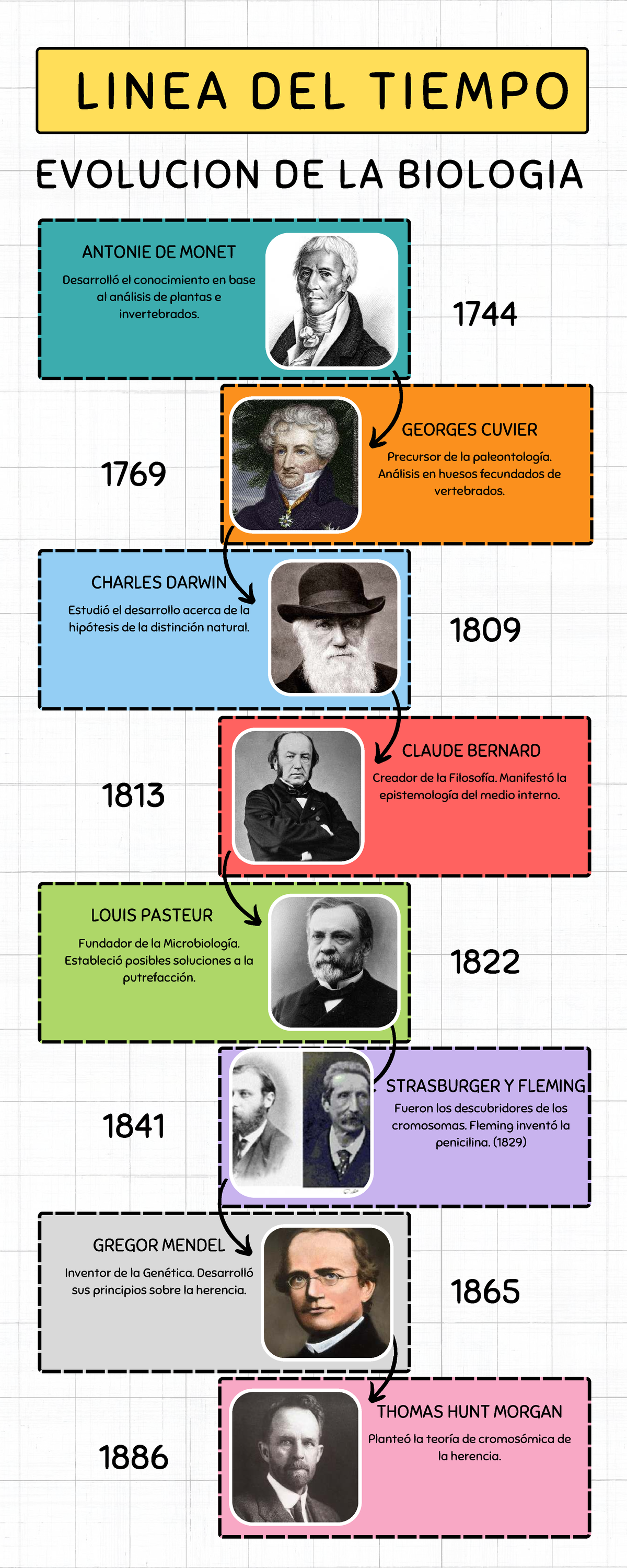 Infografía: Línea del Tiempo de la Evolución en Biología - Studocu