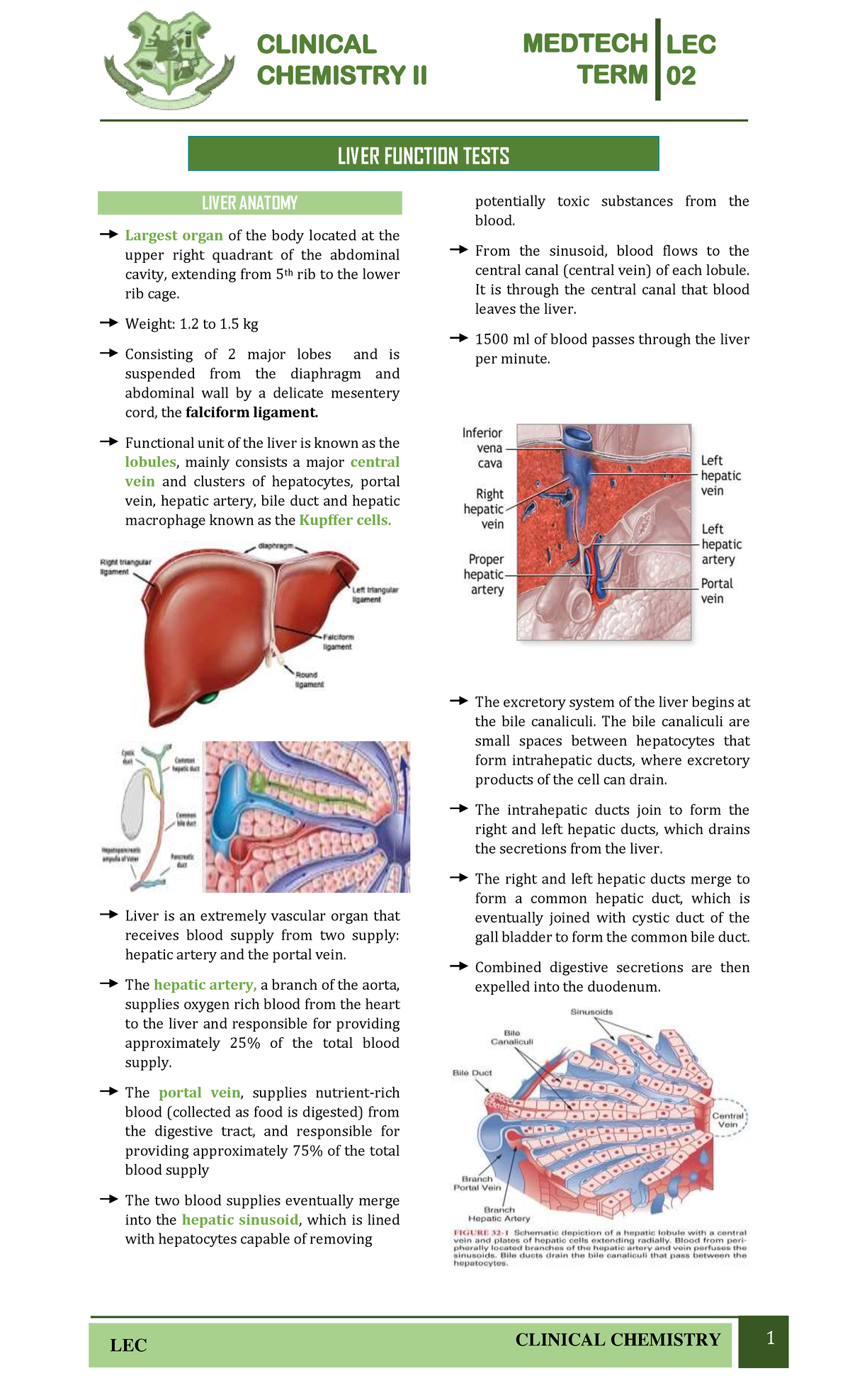 Medtech LEC TERM 02 clinical chemistry II liver function tests overview ...