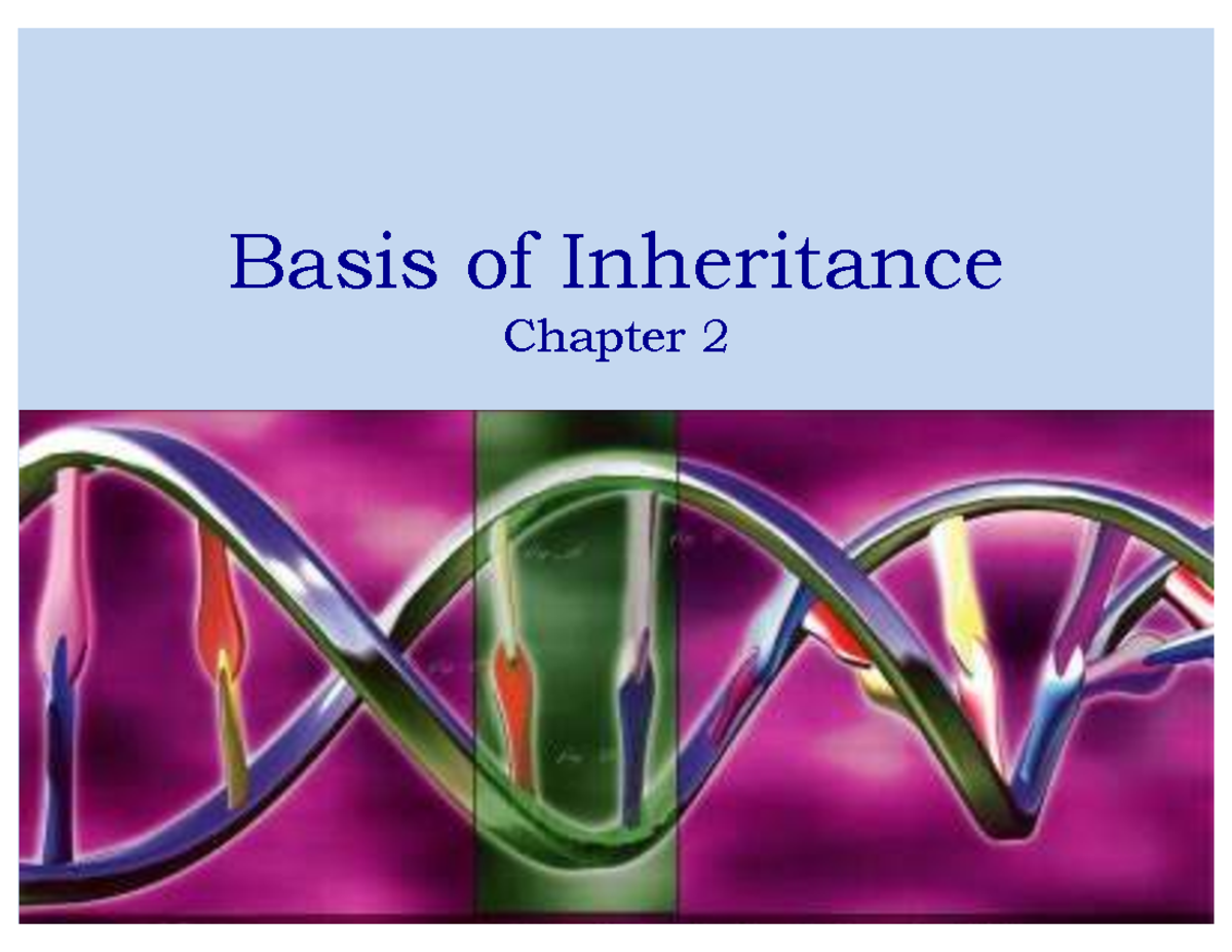 Genetics Midterm I: Overview of Inheritance and Molecular Genetics ...