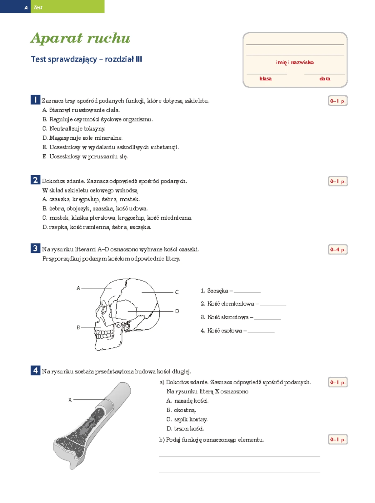 Sprawdzian Narządy Zmysłów Klasa 7 www.studocu.com