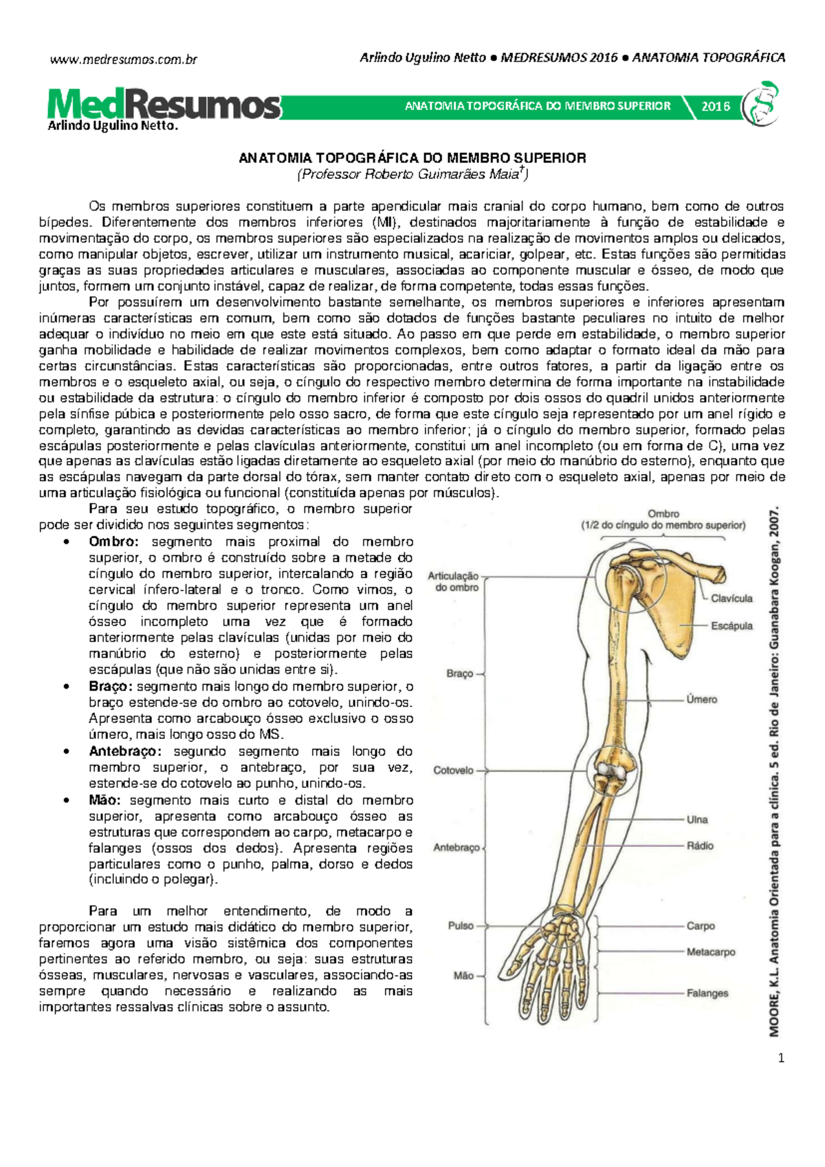 Anatomia Topográfica do Membro Superior - Resumos 2016 - Studocu