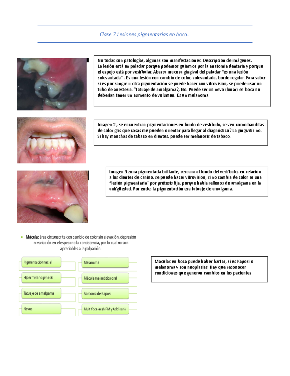 green frog rana clamitans melanota PDF) Melanoma of the oral mucosa. Clinical cases and review of the  literature main image 1