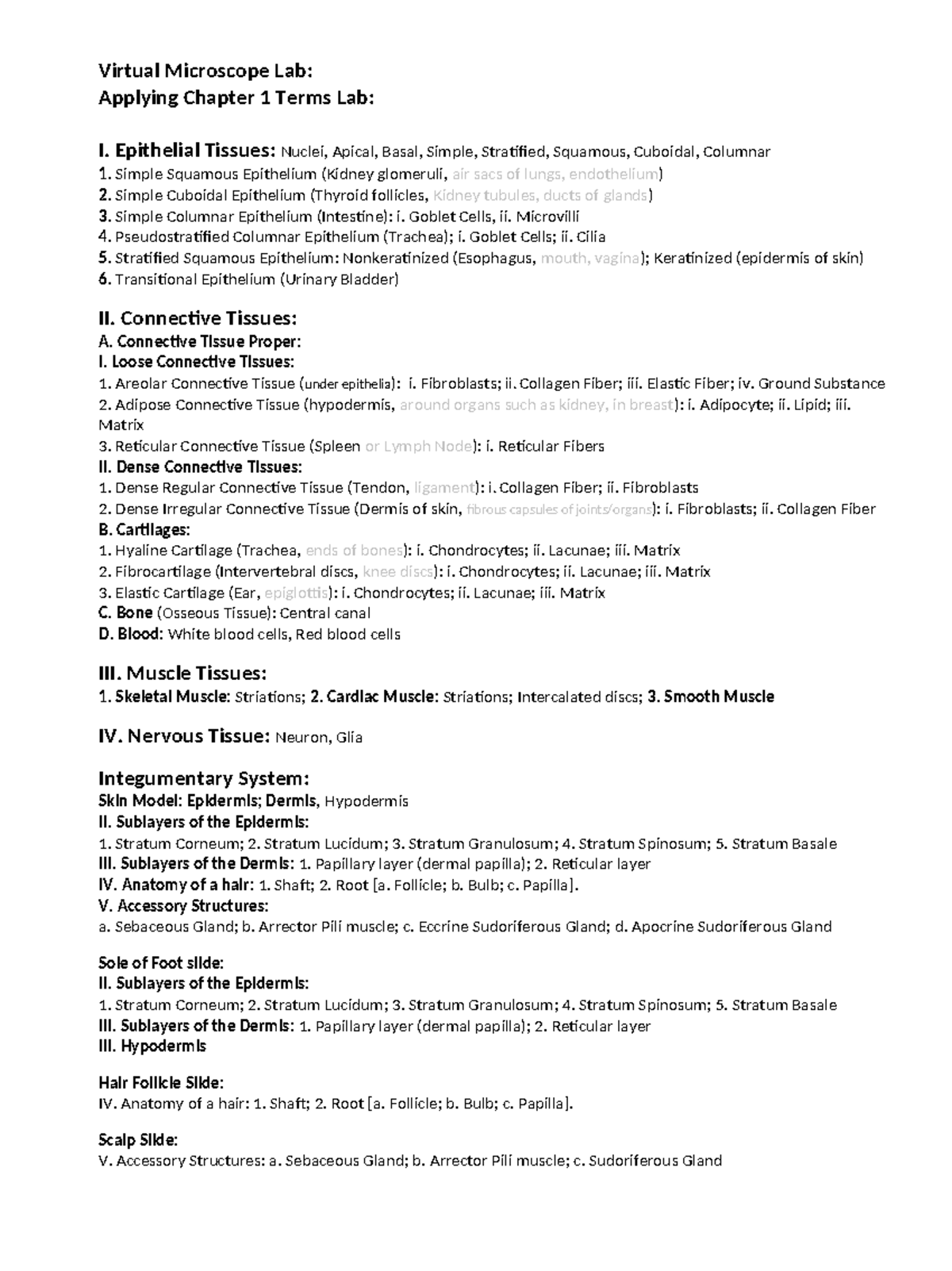 Virtual Microscope Lab: Unit 1 Epithelial & Connective Tissues Study ...