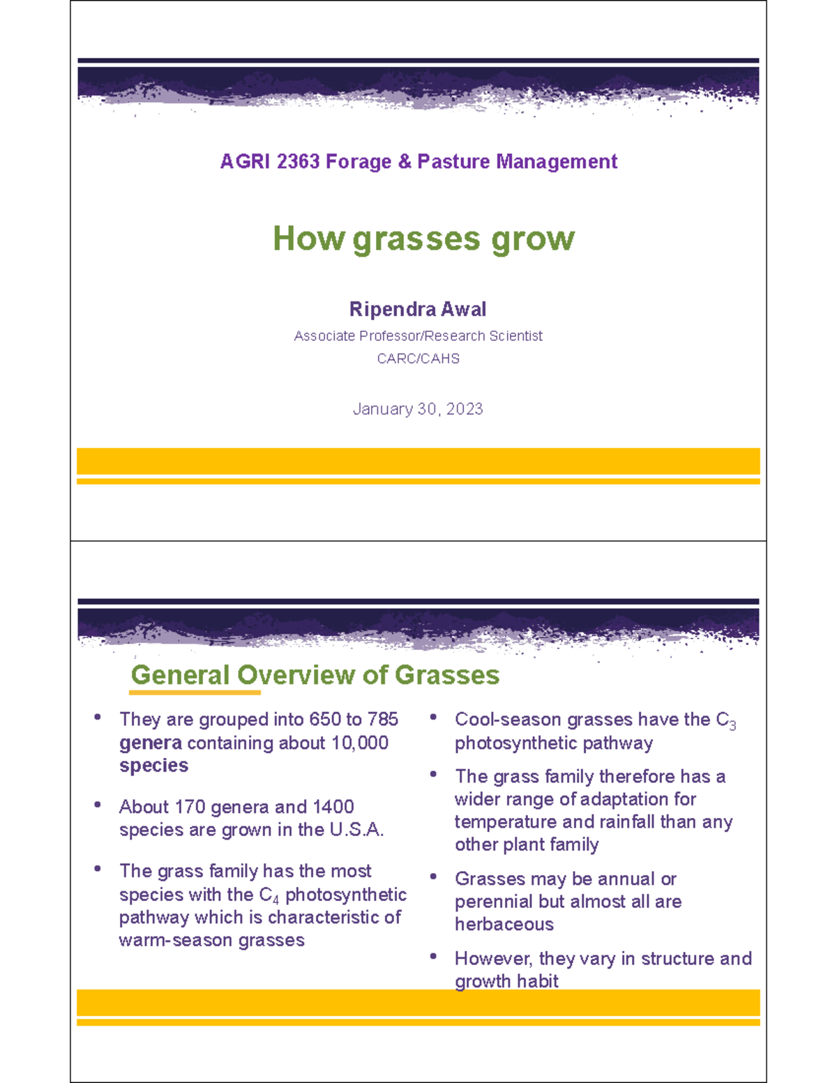 AGRI 2363 Week 3.1: Overview of Grass Growth and Development - Studocu