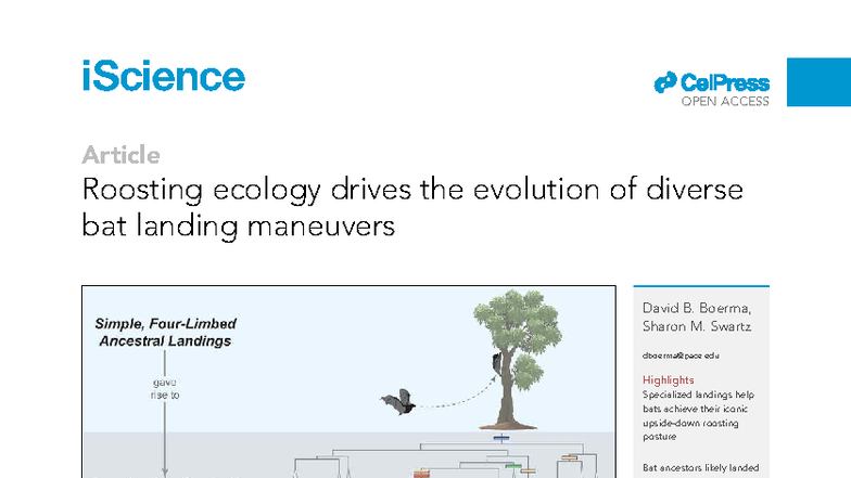 iScience 27: Roosting Ecology and Bat Landing Maneuvers Evolution - Studocu