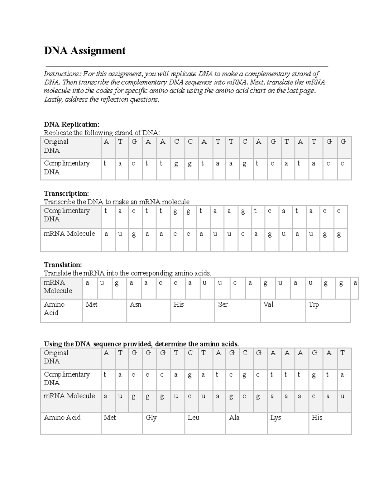 03 05 DNA Transcription and Translation Assignment Guide - Studocu