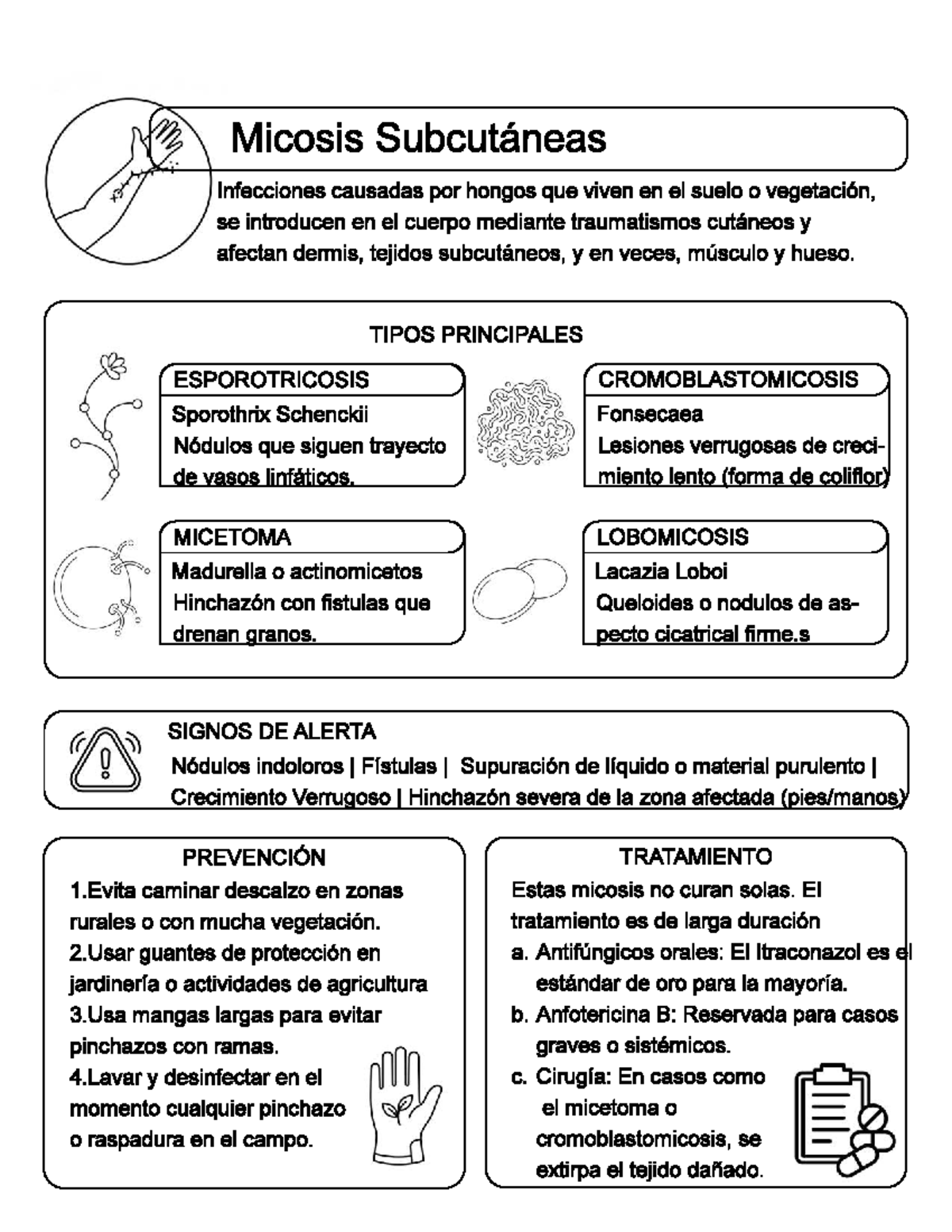 Micosis Subcutáneas: Infecciones por Hongos en Suelo Vegetal - Studocu