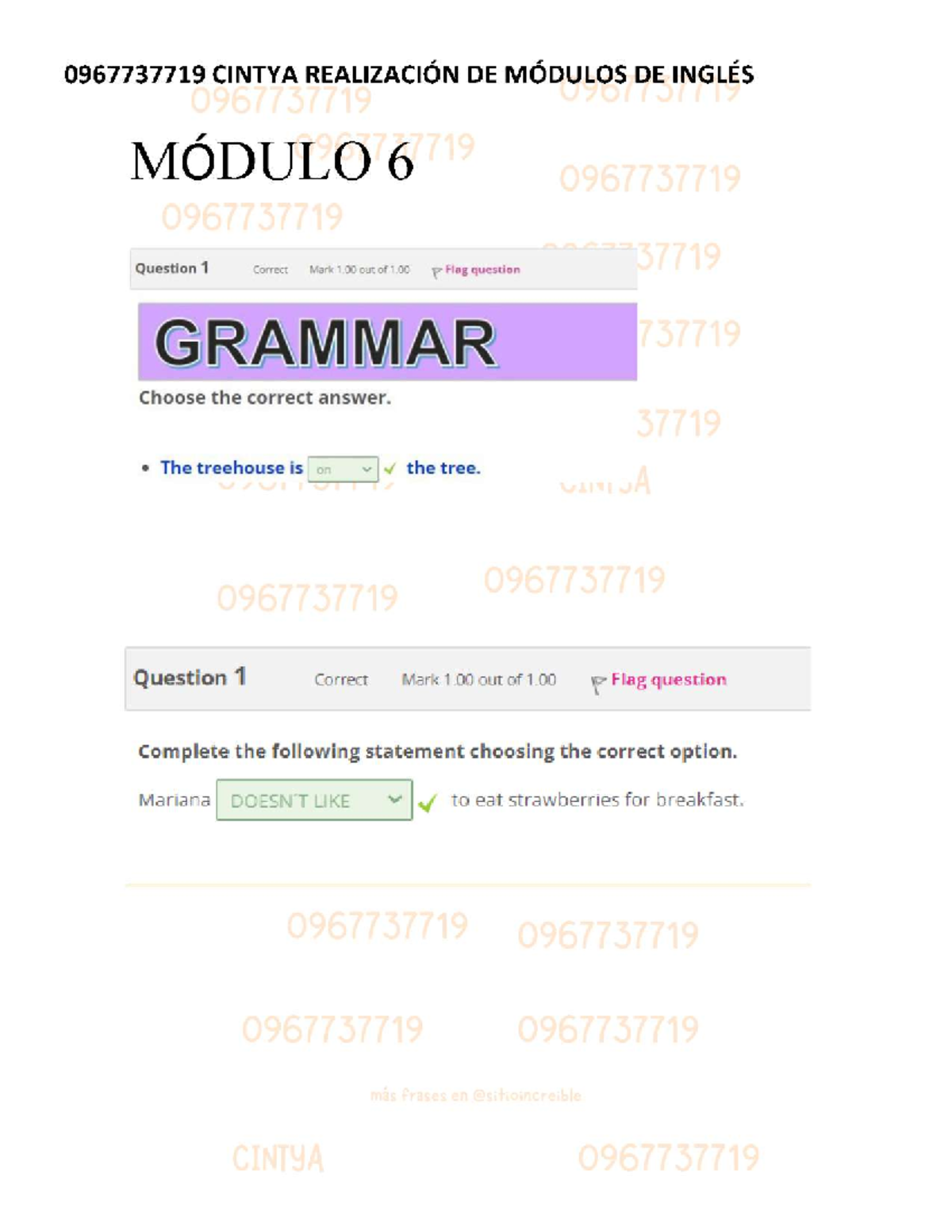 Modulo 6: Grammar Exercises and Listening Activities - Studocu
