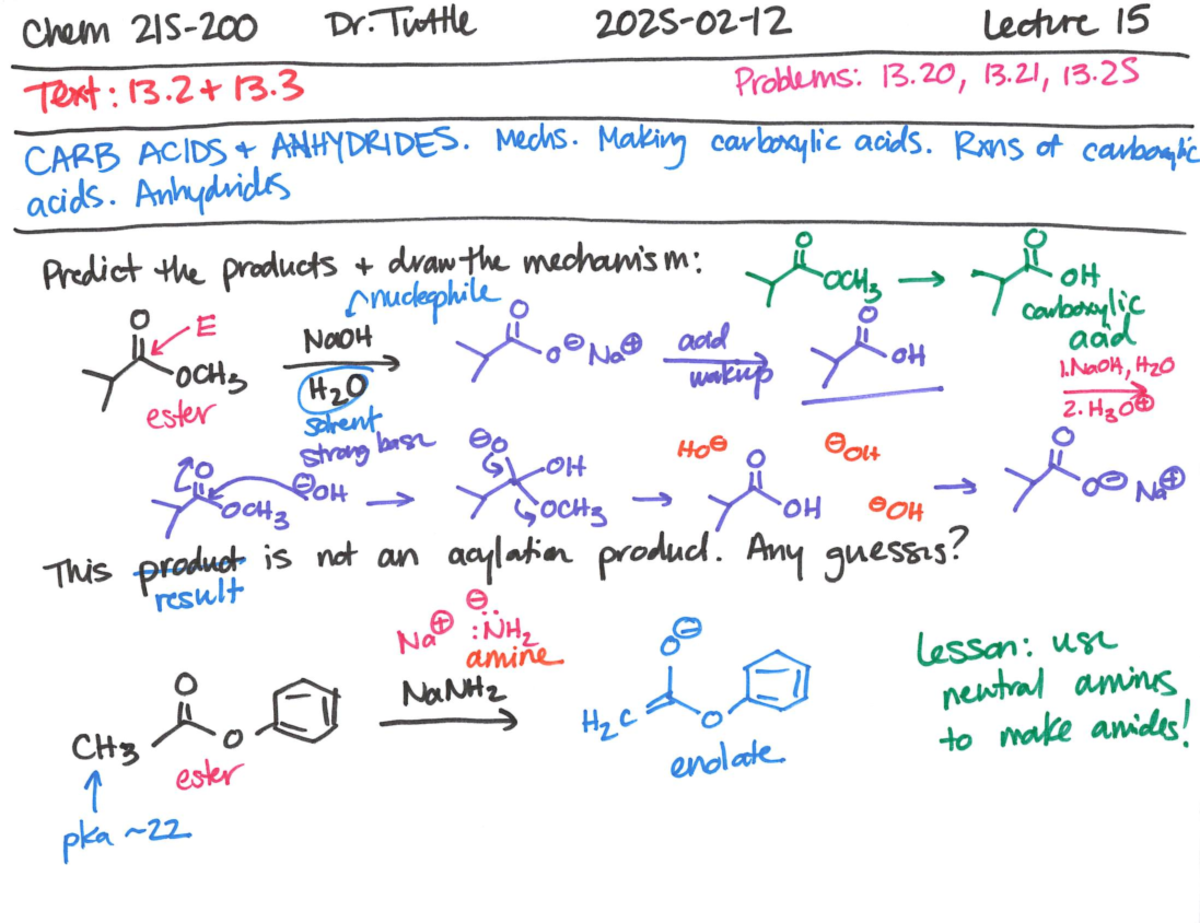 Final Exam Study Guide for BIO101: Key Concepts and Review Notes - Chem ...