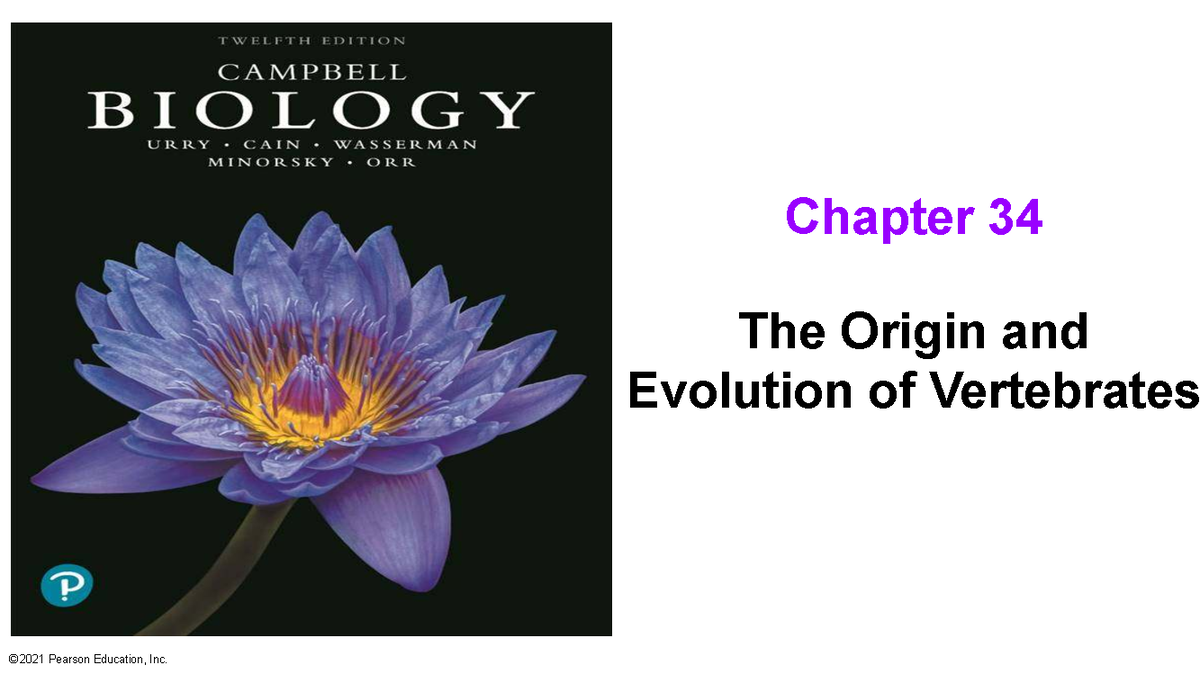 Vertebrate Classification and Evolution Analysis (BIO 101 Lecture ...