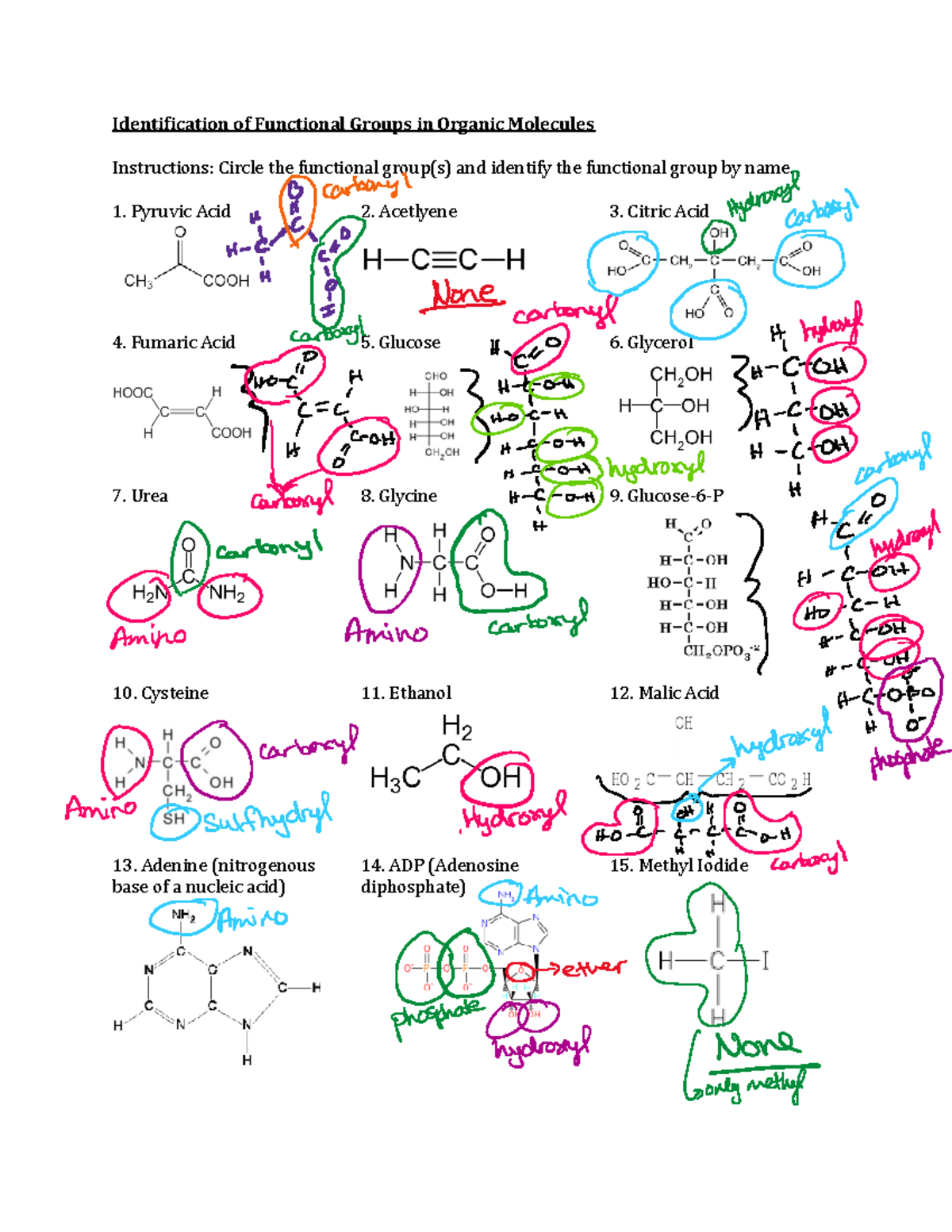 1.1 Worksheet Solutions-Identifying Functional Groups - Identification ...