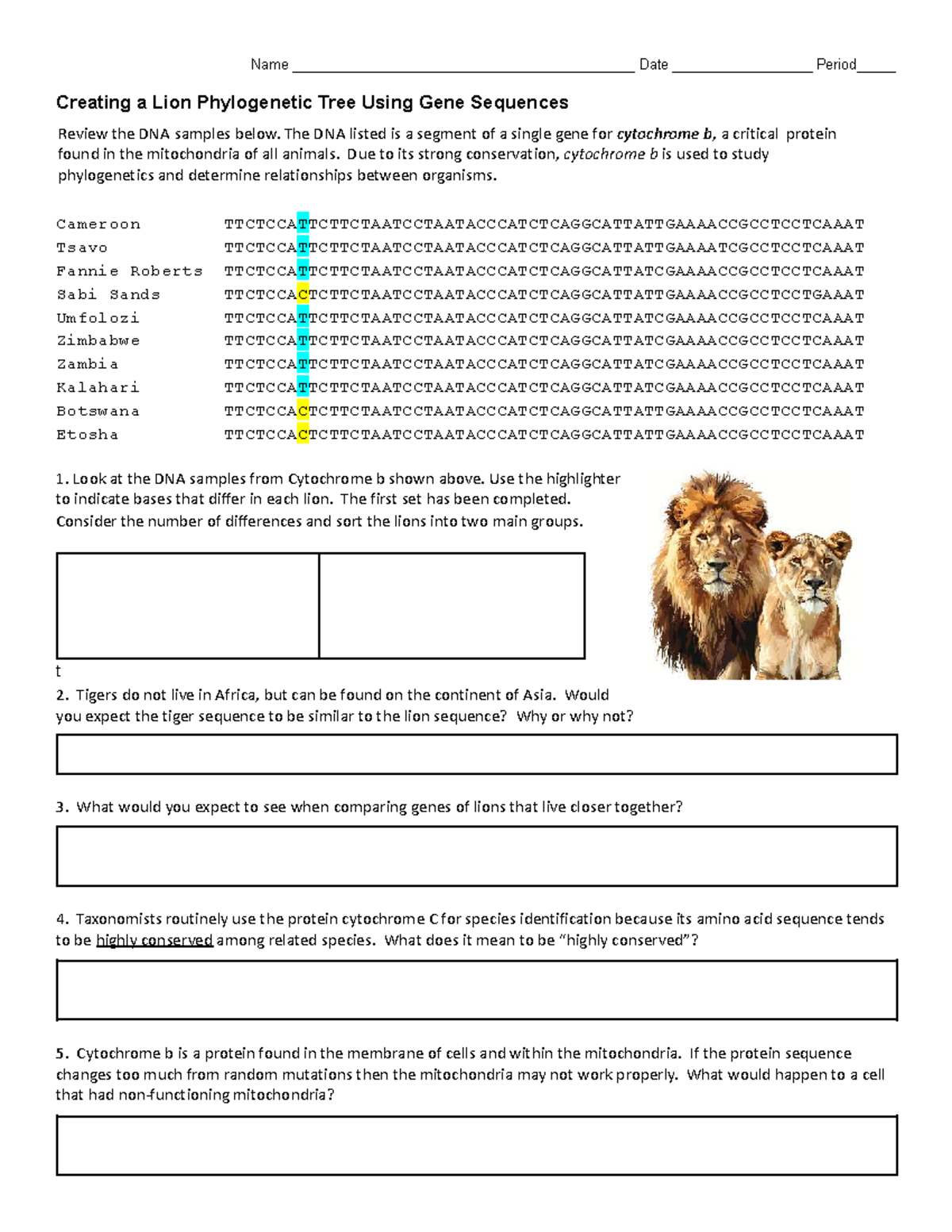 Creating a Lion Phylogenetic Tree Using Gene Sequences - Studocu