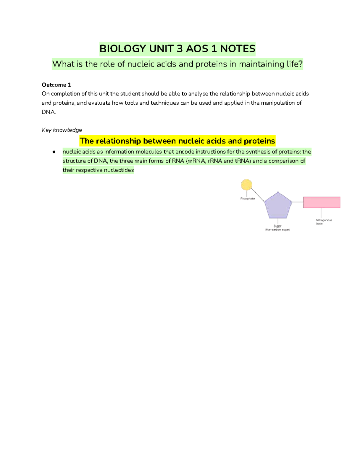 BIO Unit 3 AOS 1: Nucleic Acids & Proteins in Life - Studocu