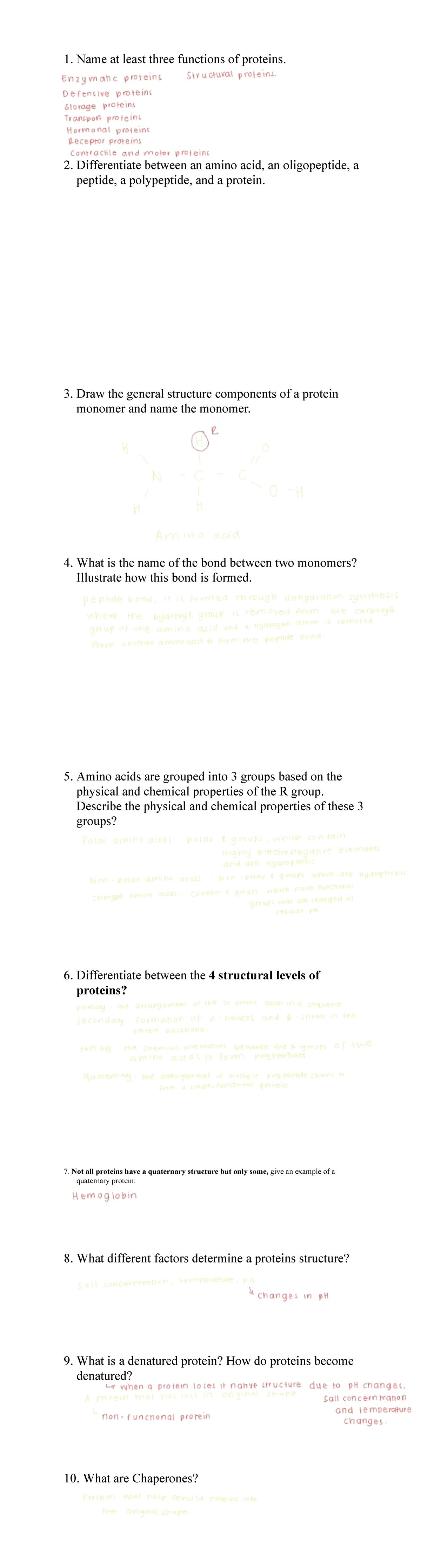 BIO101 - Protein Structure and Function Study Guide - Studocu