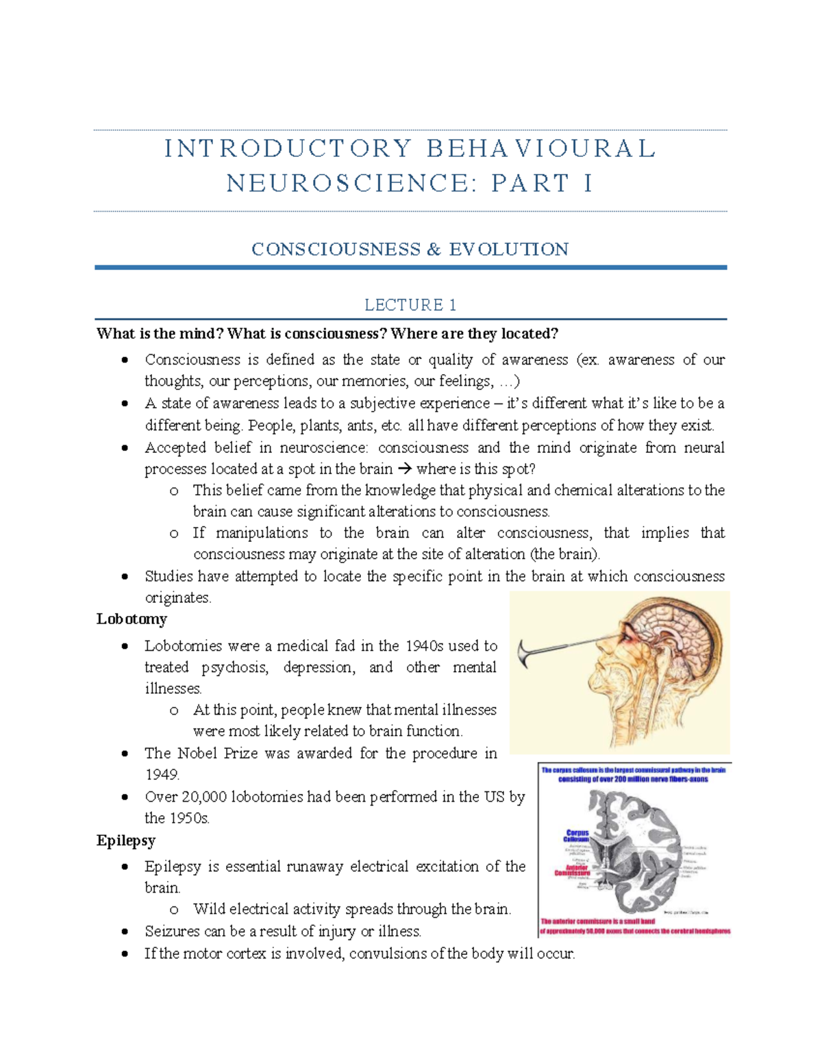 PSYC 211 Final Exam: Comprehensive Behavioral Neuroscience Notes - Studocu