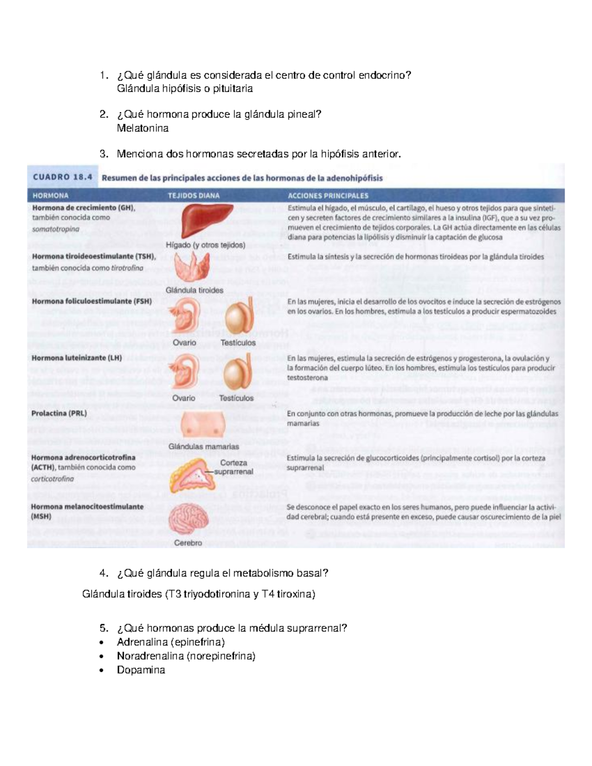 Repaso del Sistema Endocrino: Hormonas y Glándulas Clave - Studocu
