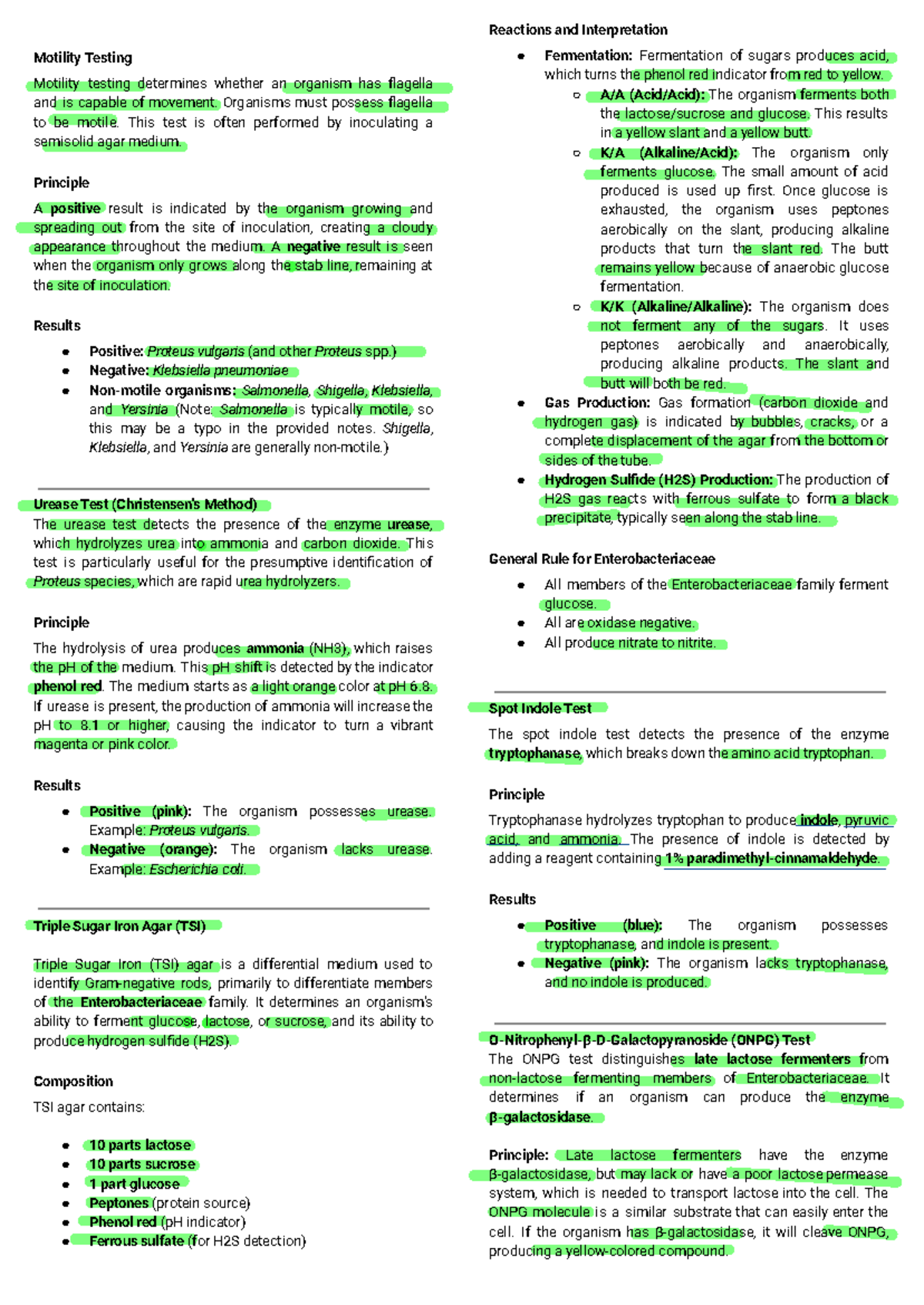 Gram Neg Biochemical Test: Motility, Urease, and Fermentation Analysis ...
