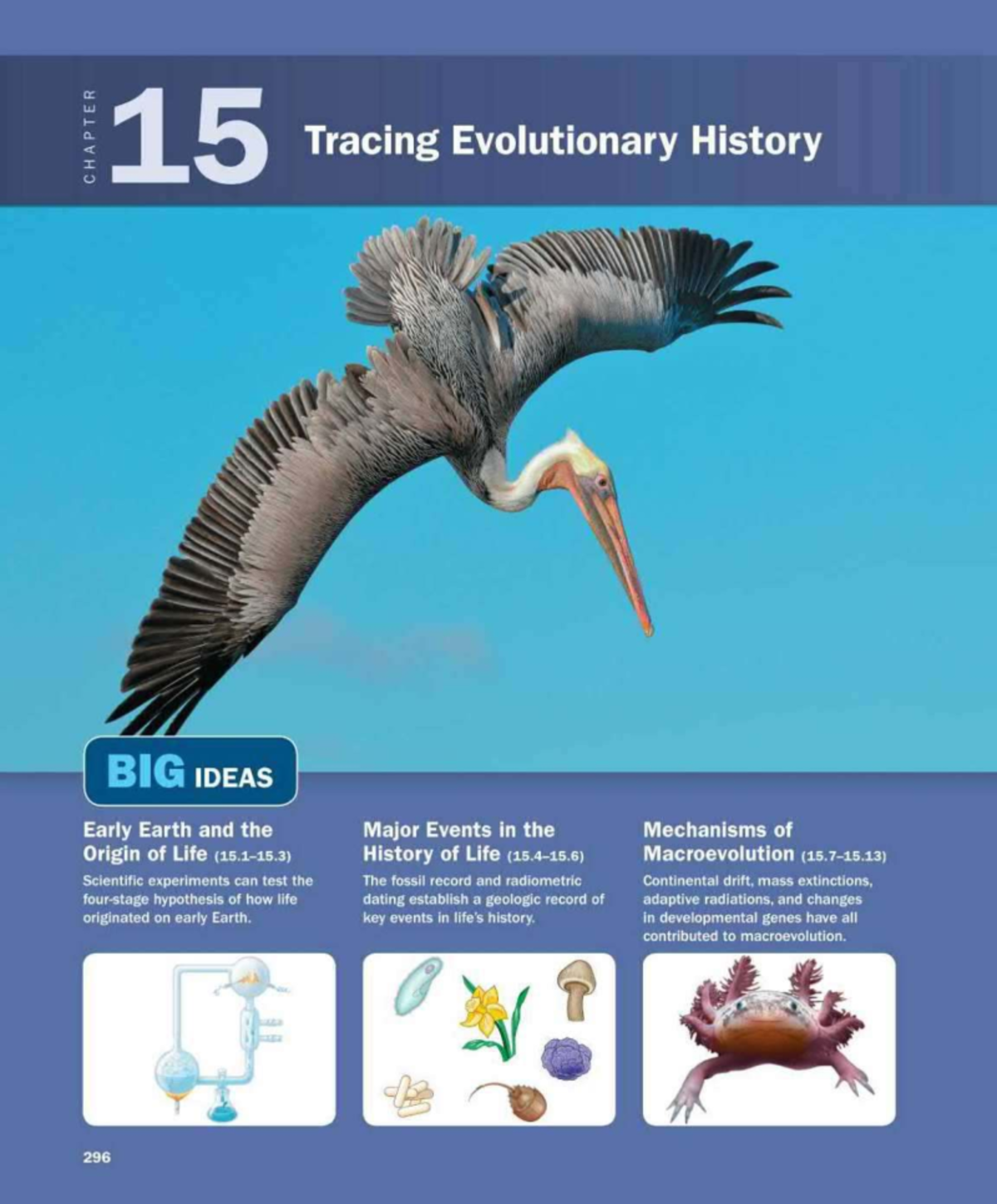 Understanding Linnaean Classification and Phylogeny in Biology (BIO 101 ...