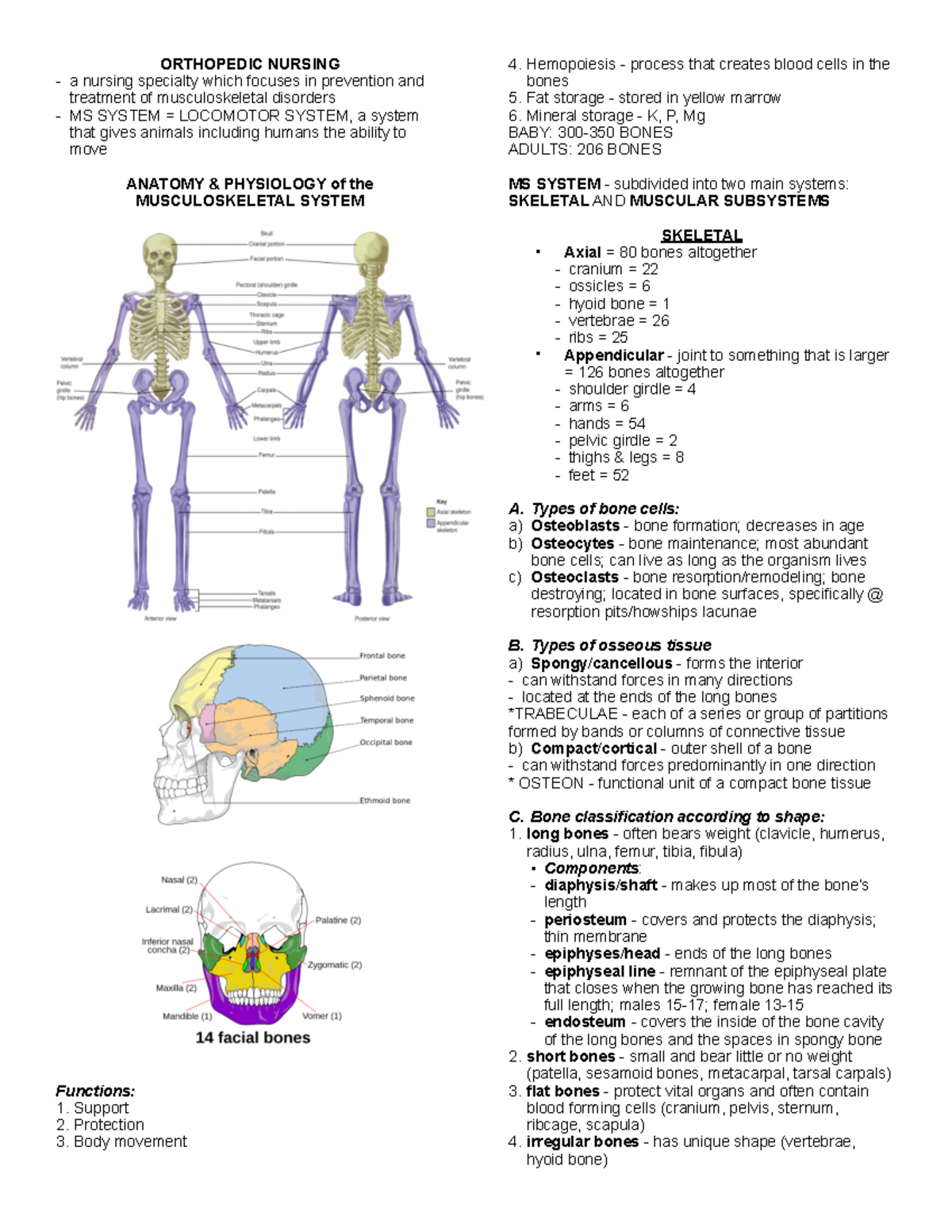 Orthopedic Nursing: Comprehensive Study Notes for MS System (NUR 101 ...