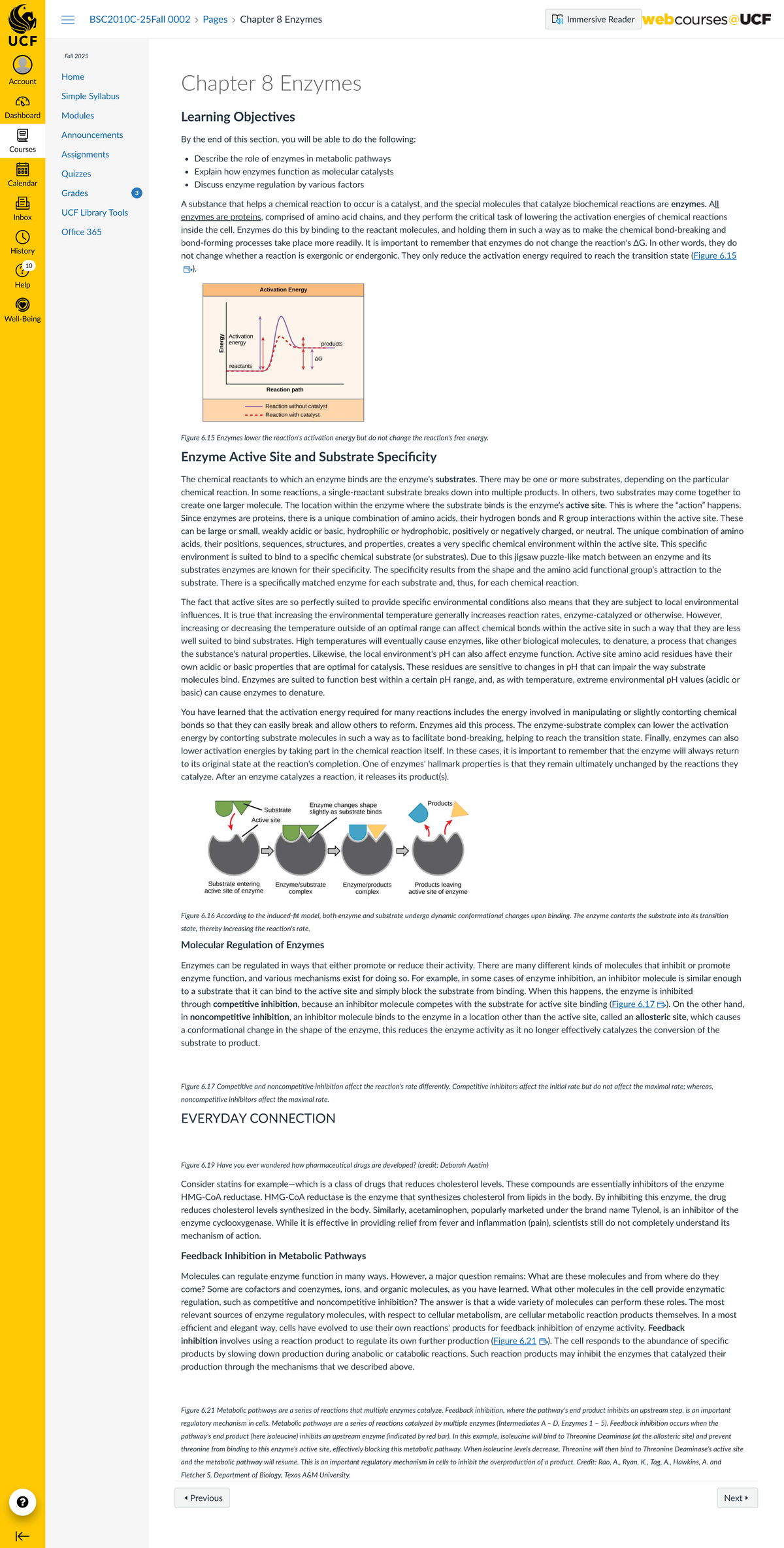 BSC2010C Chapter 8: Enzymes and Metabolic Pathways Overview - Studocu
