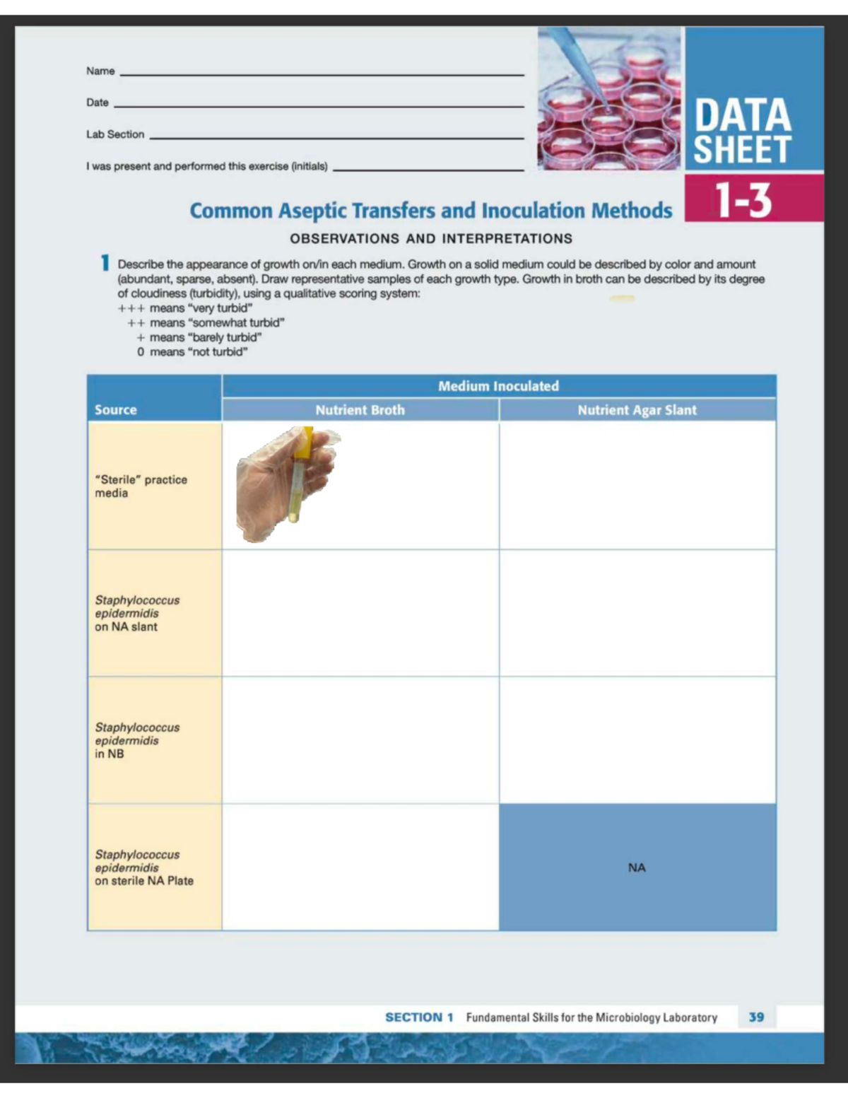DATA Lab Section: Aseptic Transfers & Inoculation Methods - Studocu