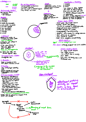 VSC310 Practical 18 March 2025 Erythrogram interpretation worksheet ...