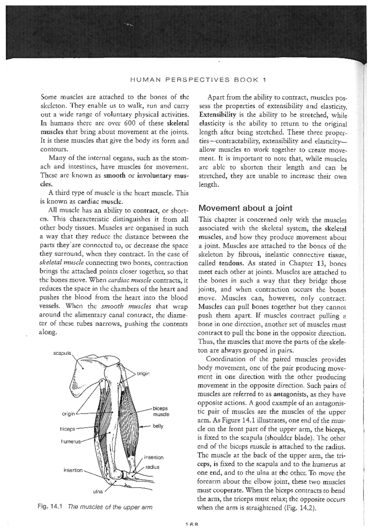 HUMAN PERSPECTIVES BOOK 1: Skeletal Muscles and Movement Mechanics ...