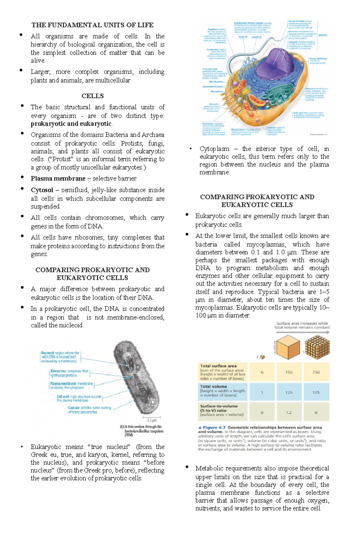 Biology 101: Cell Structure and Function Study Notes - Studocu