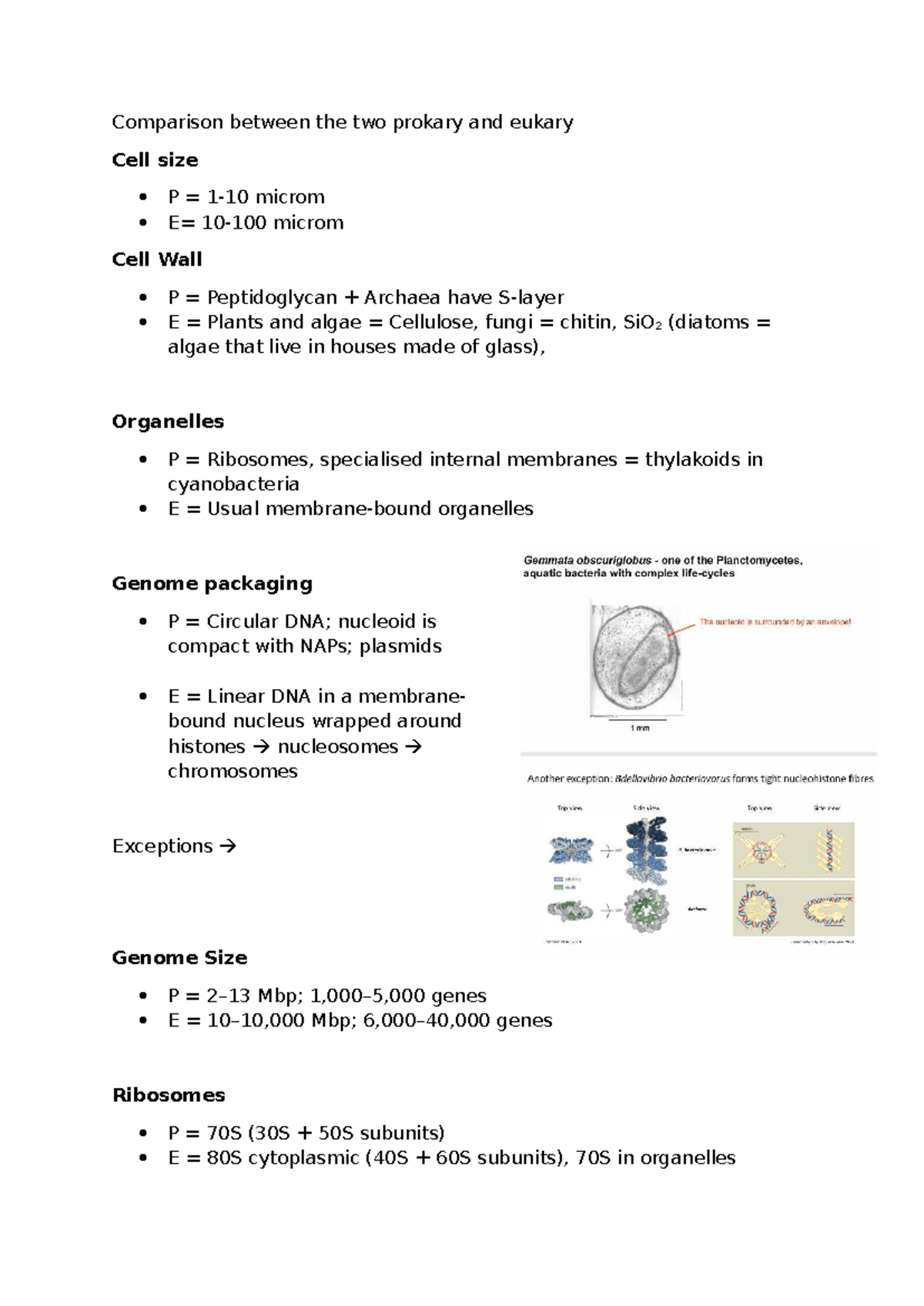 Comparison of Prokaryotic and Eukaryotic Microbes: Cell Structure and ...