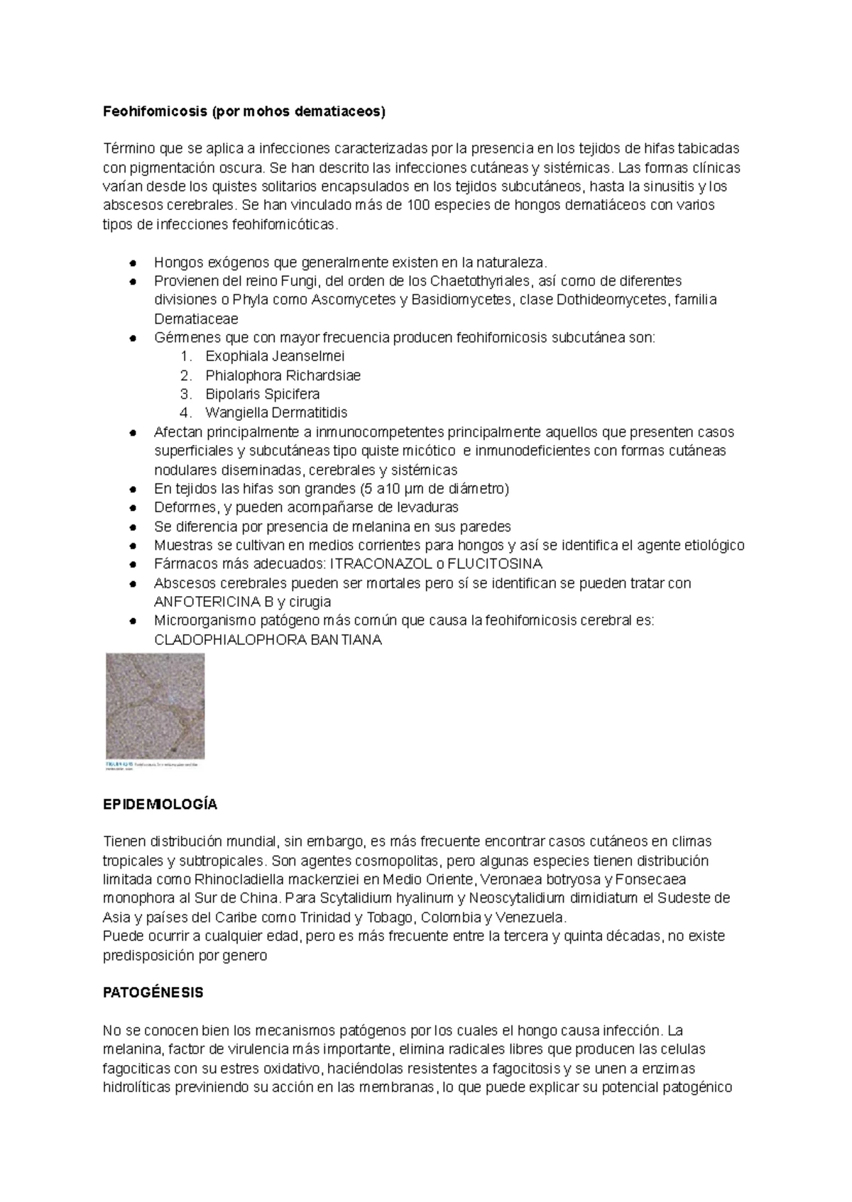 Clasificación y Características de Microorganismos: Bacterias y Más -  Studocu