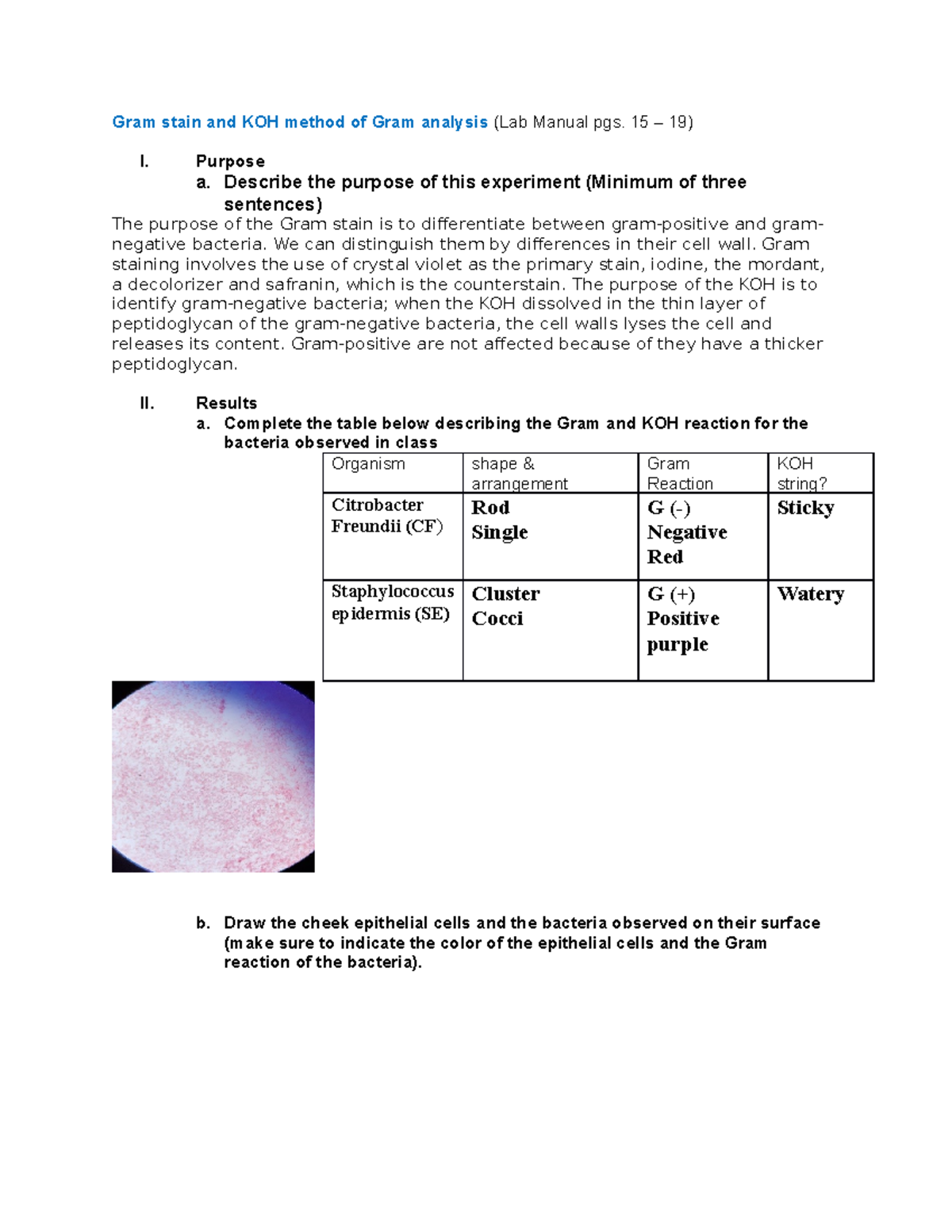 Koh Test Gram Positive Bacteria