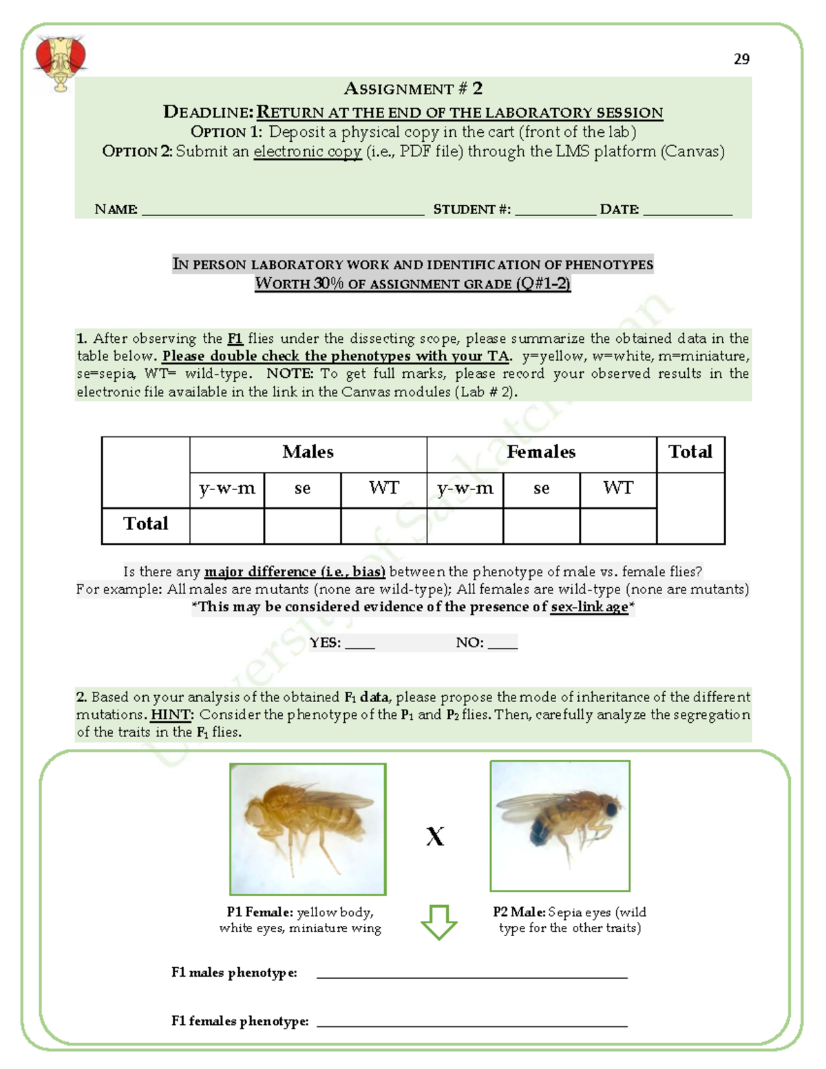 Biol 226 Lab 2 - Genetics Assignment and Phenotype Analysis - Studocu