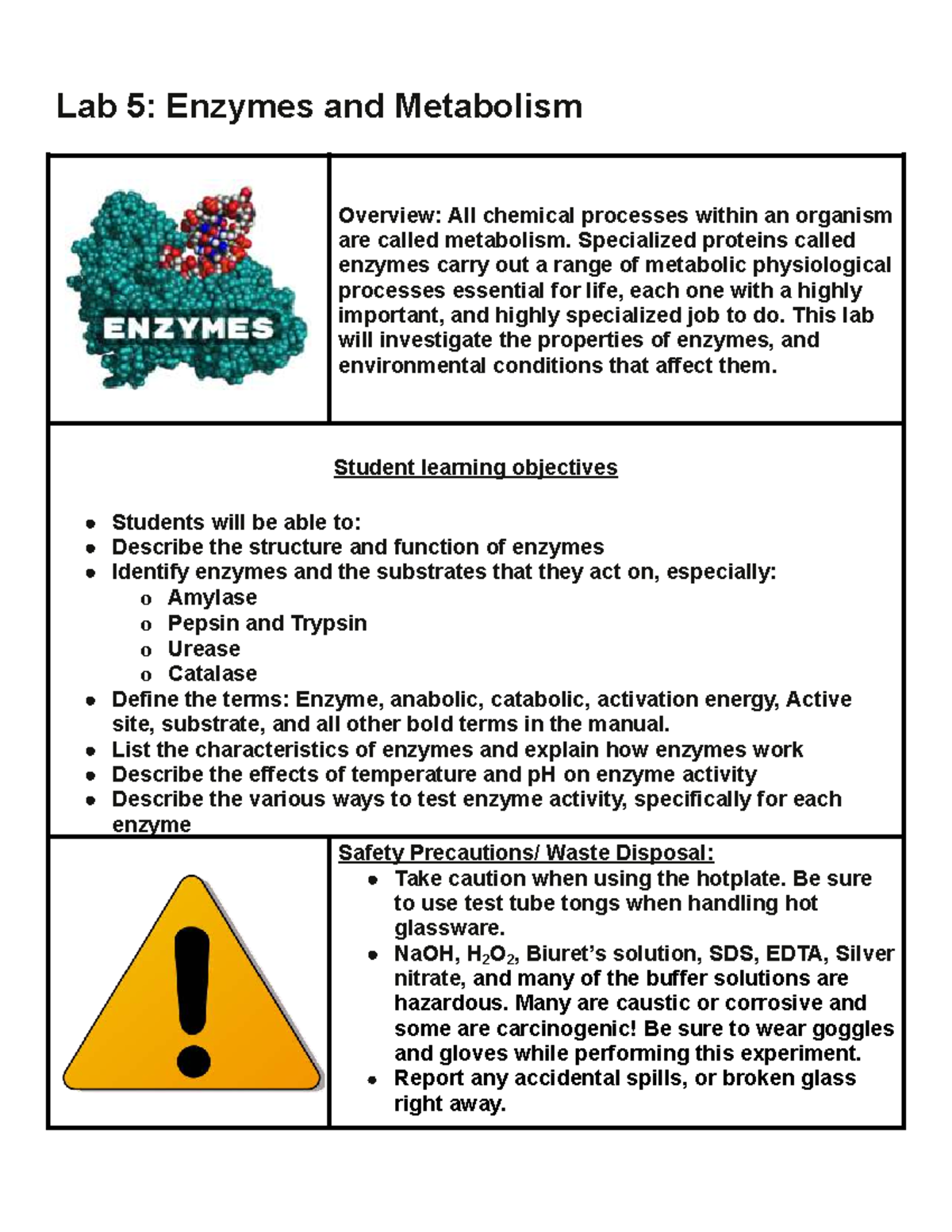 Bio Lab 5: Enzymes & Metabolism Overview and Experiments - Studocu