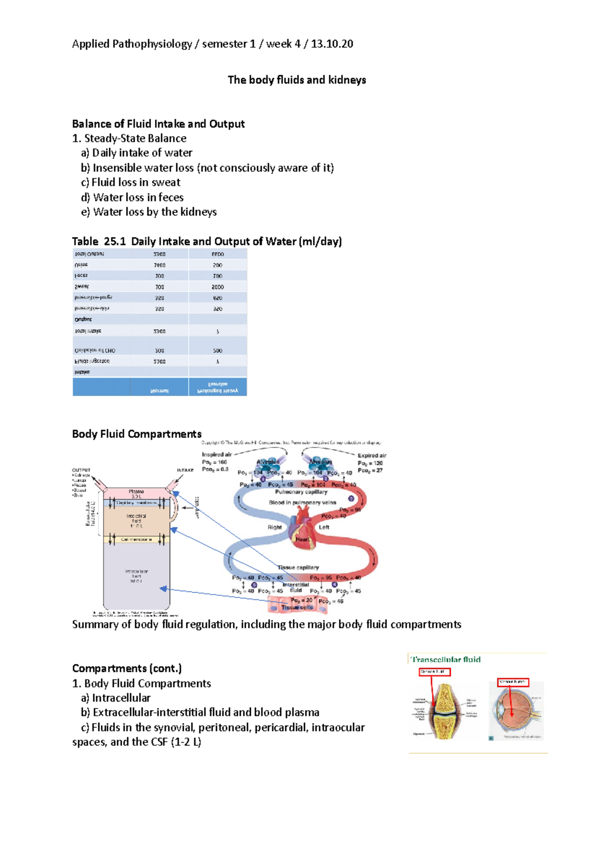 Applied Pathophysiology Lecture: Body Fluids and Kidneys - Week 4 - Studocu