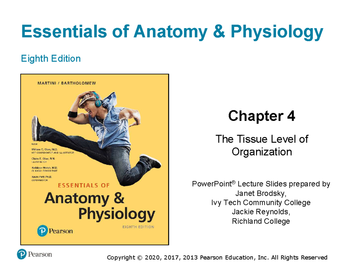 A&P 101: Chapter 4 - The Tissue Level of Organization Lecture Slides ...