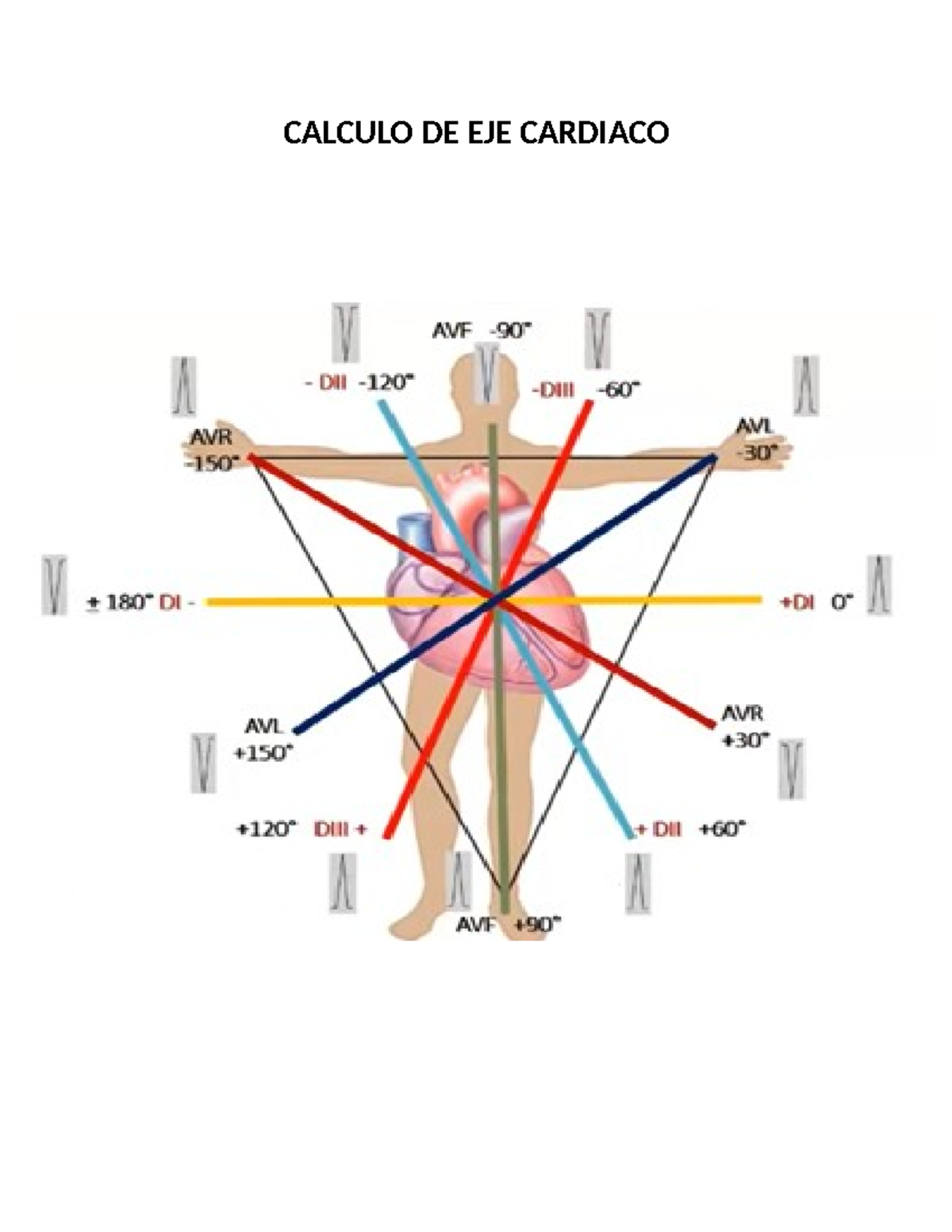 calculo-de-eje-cardiaco-en-derivaciones-avf-dii-avl-y-avr-studocu