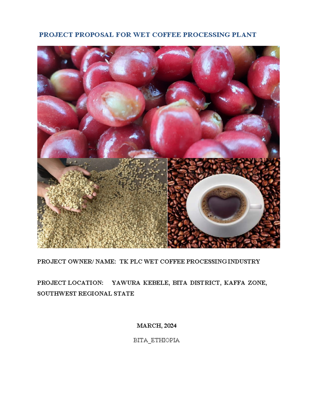 Bita Wet Coffee Processing Plant Project Proposal (TK PLC) - Studocu