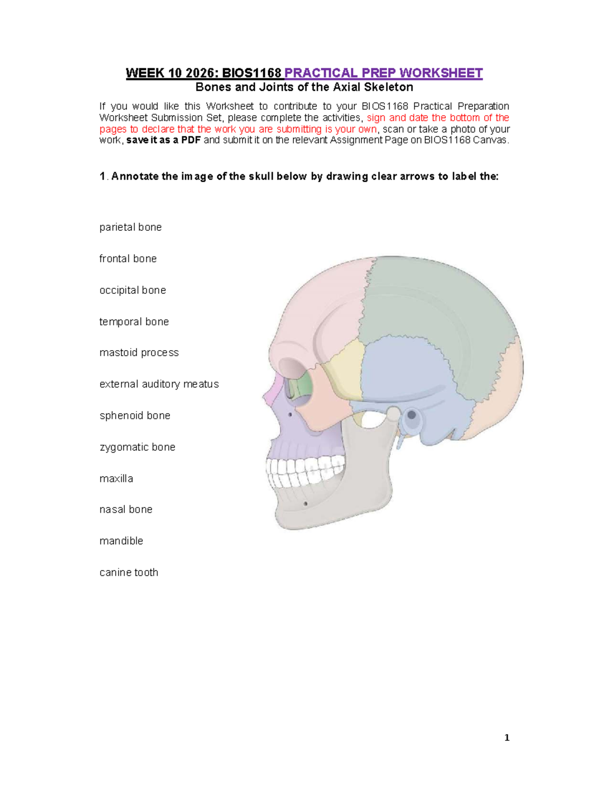 WEEK 10 2026: BIOS1168 PRACTICAL WORKSHEET on Axial Skeleton Anatomy ...