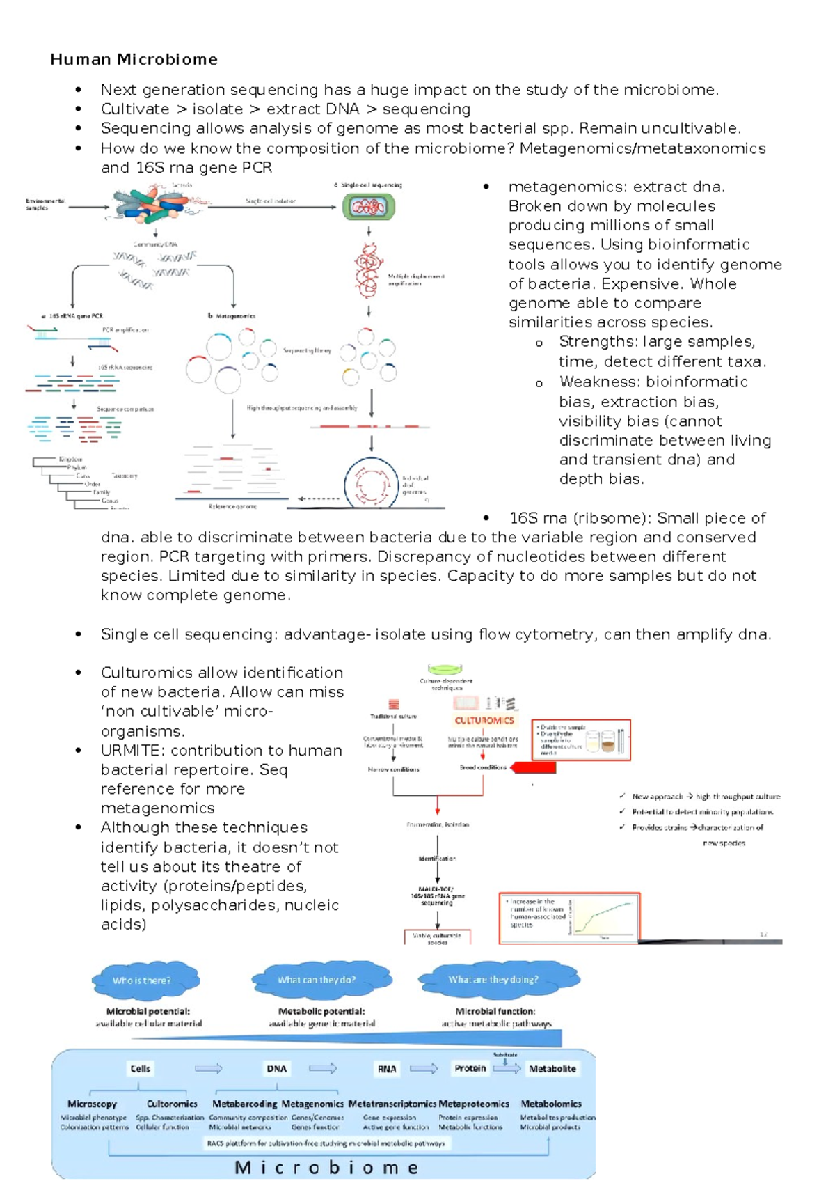 Human Microbiome - S2 Lecture Notes on Sequencing & Metagenomics - Studocu