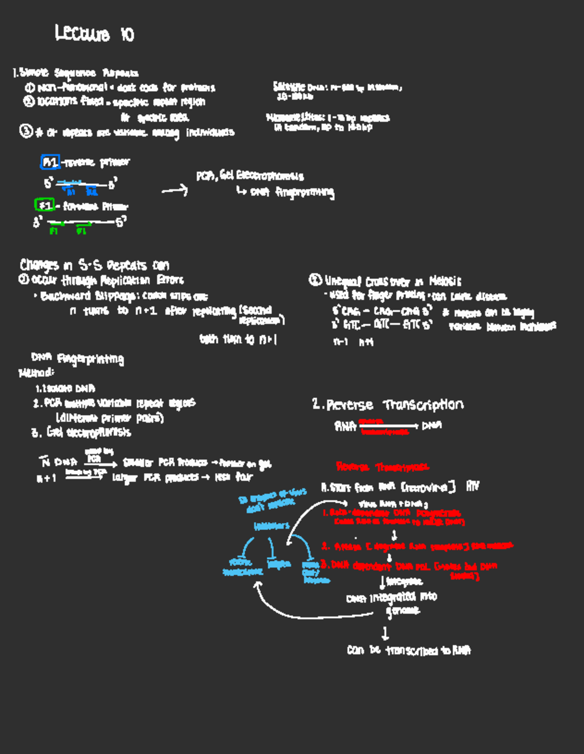 Midterm 2 Study Notes: Simple Sequence Repeats & Transcription Analysis ...