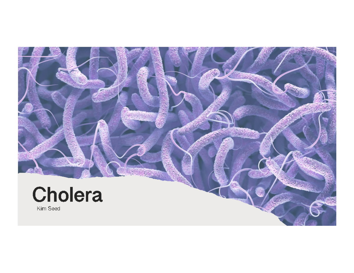 Cholera Overview: Pathogenesis, Treatment & Contemporary Issues (BIOL ...