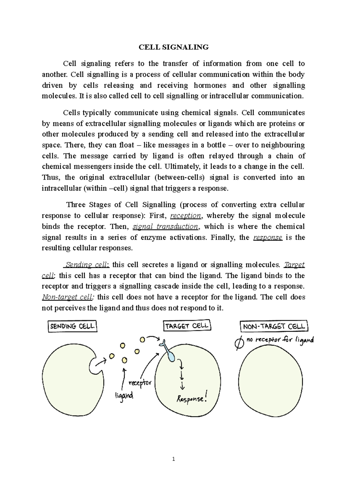 CELL Signaling - Physiology notes - CELL SIGNALING Cell signaling ...