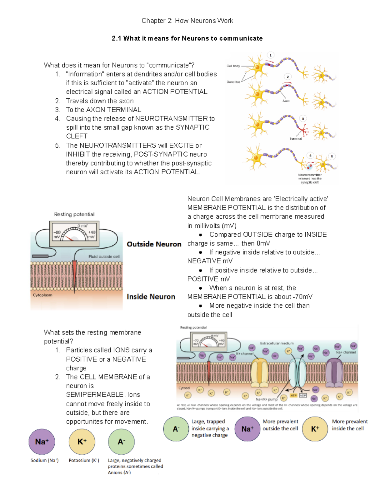 PSY 332 - Lecture notes from Professor Holt's class videos. - Chapter 2 ...