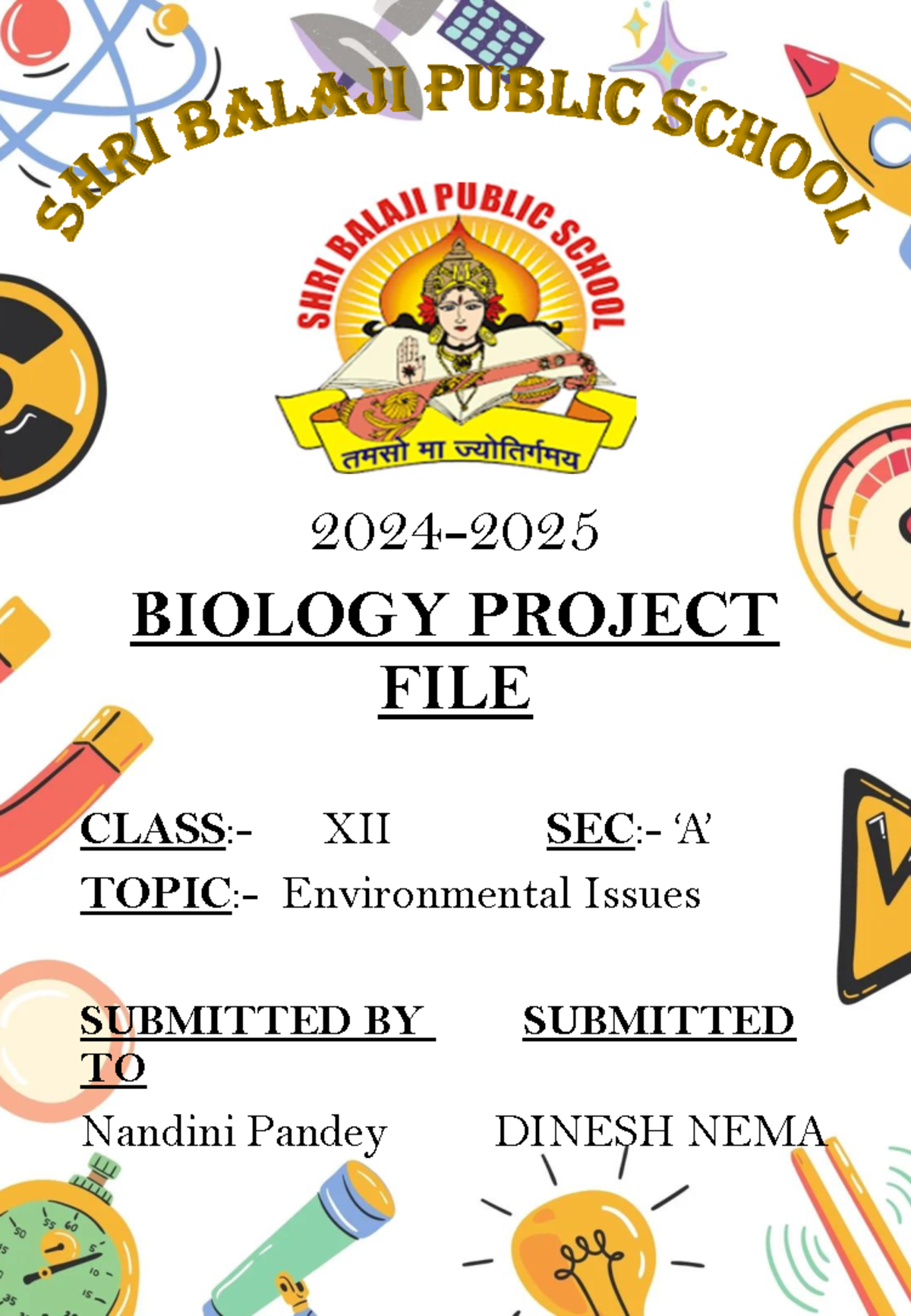 Biology Project on Environmental Issues | Class XII A | SHRI Balaji ...