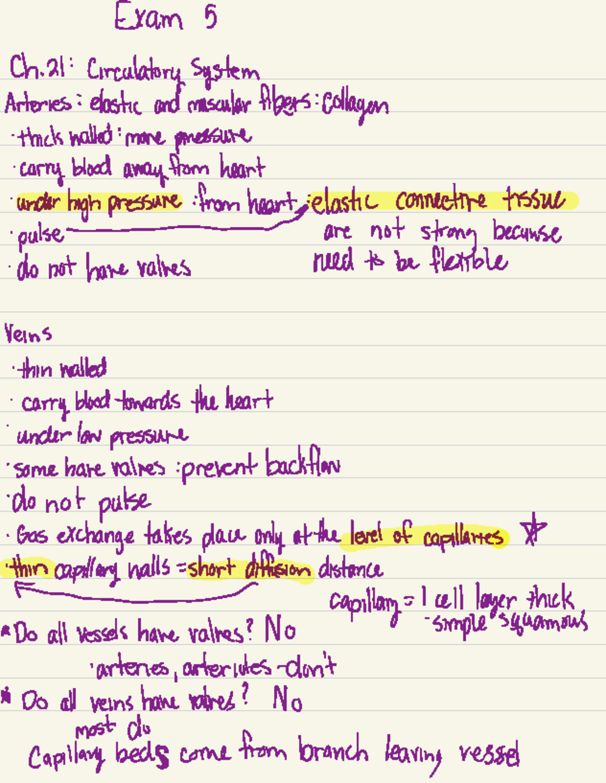 Anatomy & Physiology 2: Circulatory System Overview and Key Concepts ...