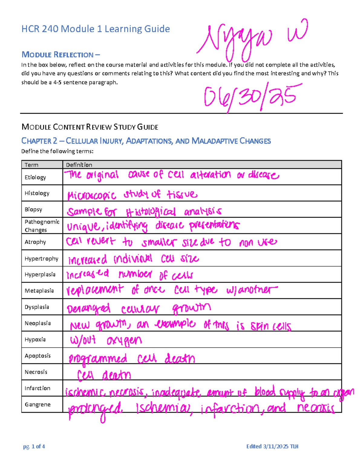 BIO 202 Module 5 Final Exam Learning Guide: Digestive System Terms ...