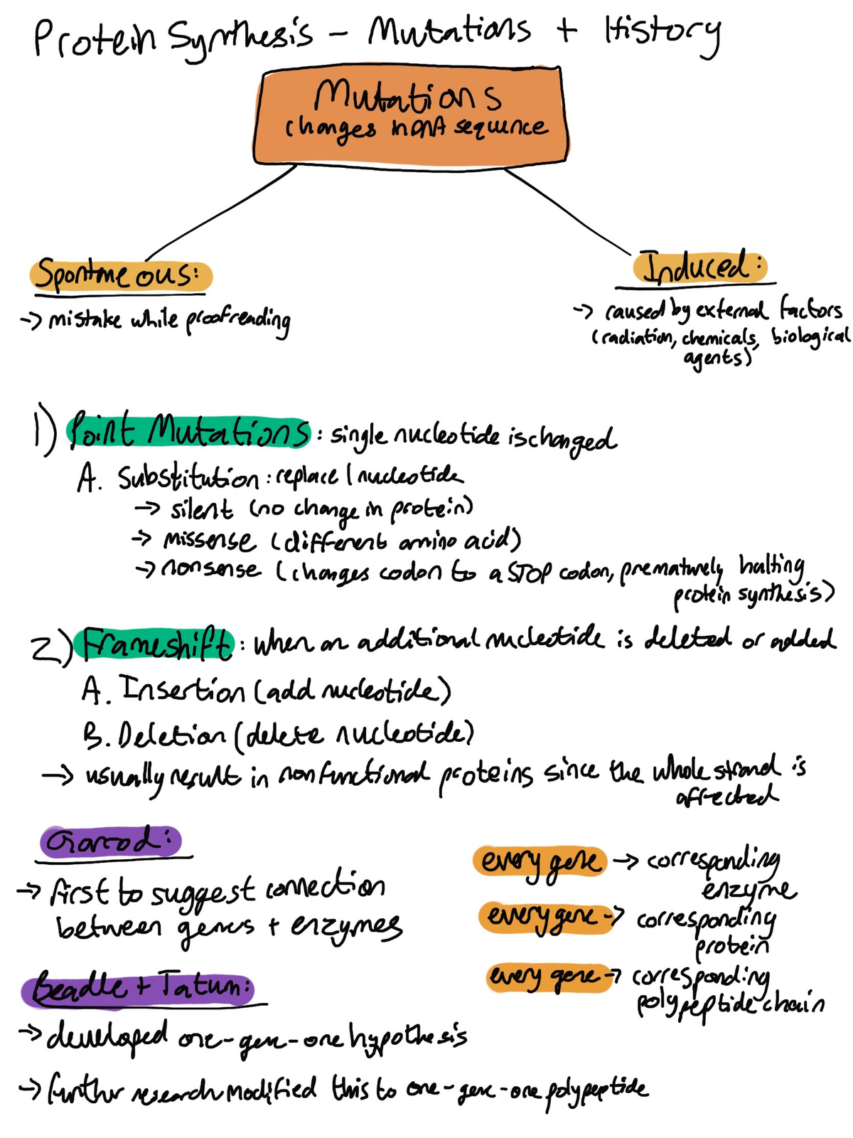 Dna Mutations And History Protein Synthesis Mutations History