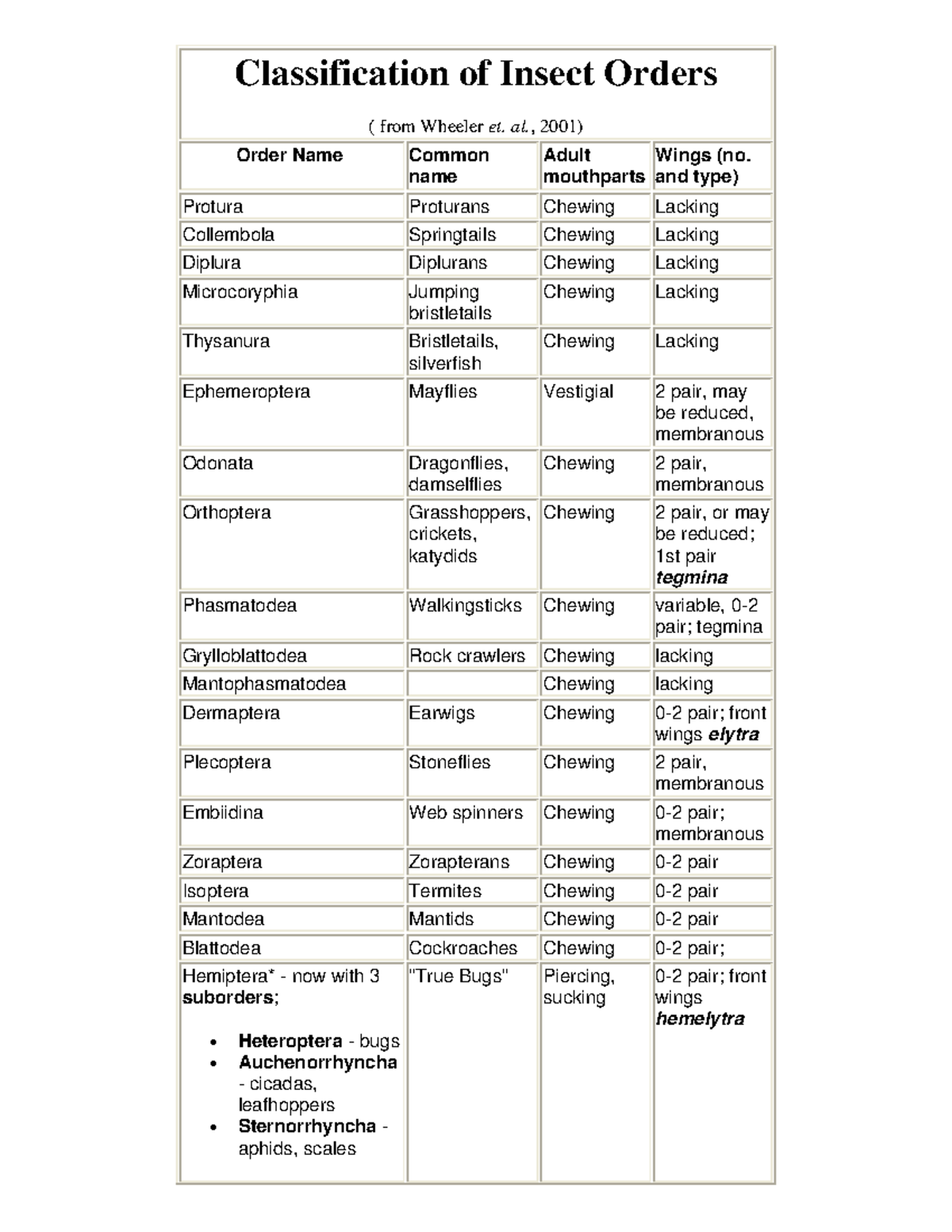 Insect orders and their characteristics - Classification of Insect ...