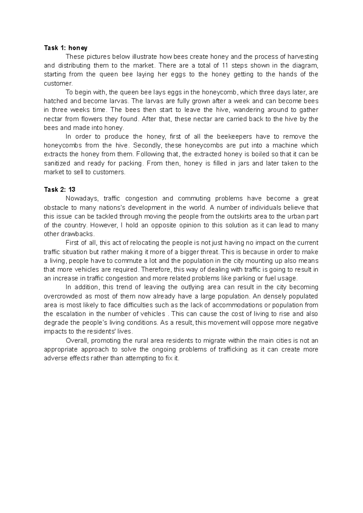 Sth 3 - Writing Example: Honey Production & Traffic Issues Analysis ...